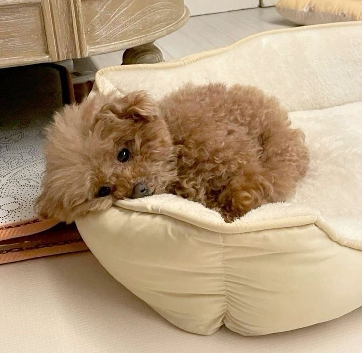 그댄 왜 나를 사랑했나요