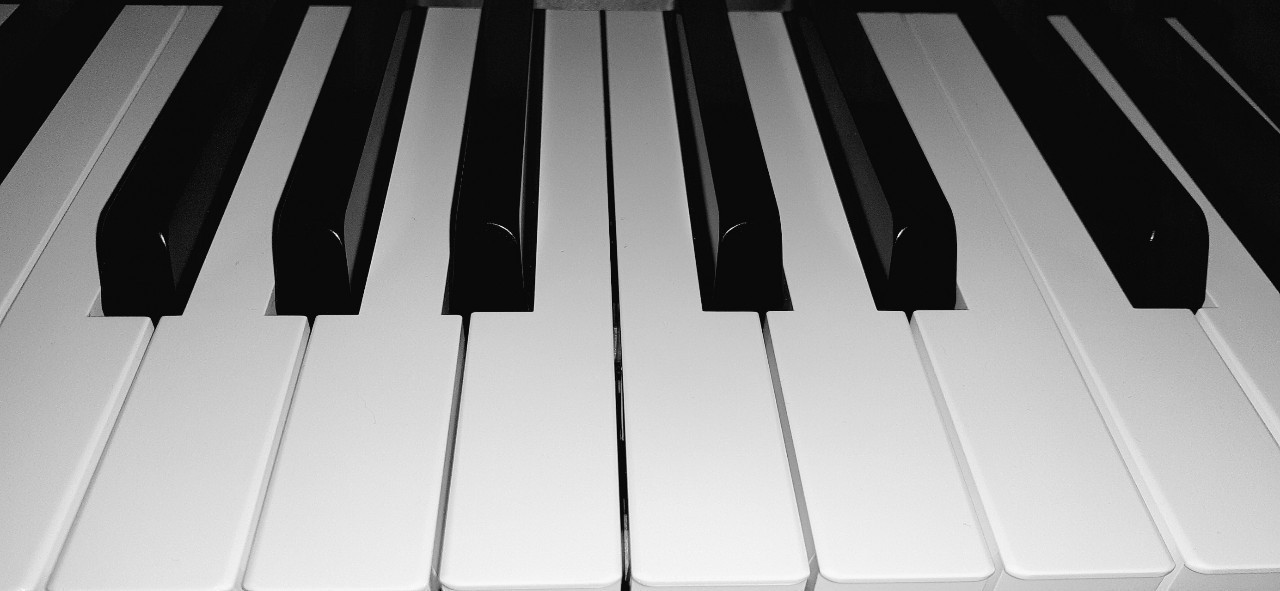 해머건반 오랜만이야