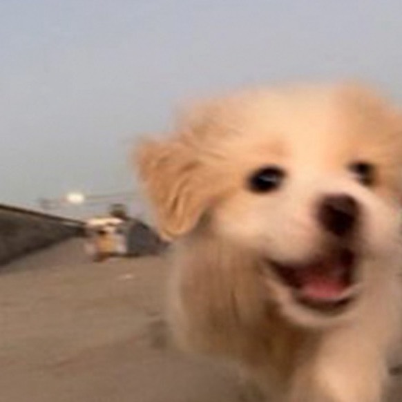 ^^히히히
