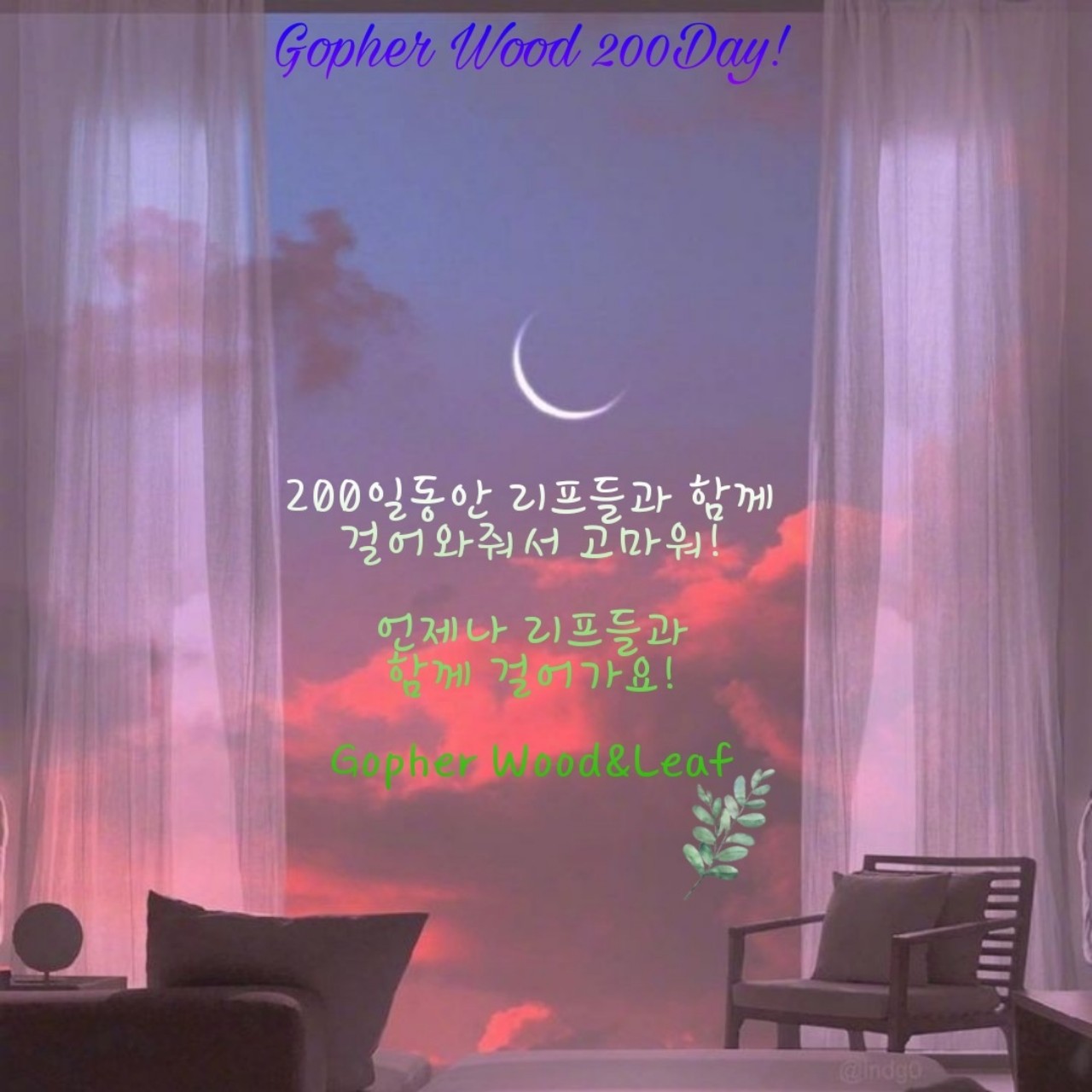 고퍼우드 200일 축하음성메세지
