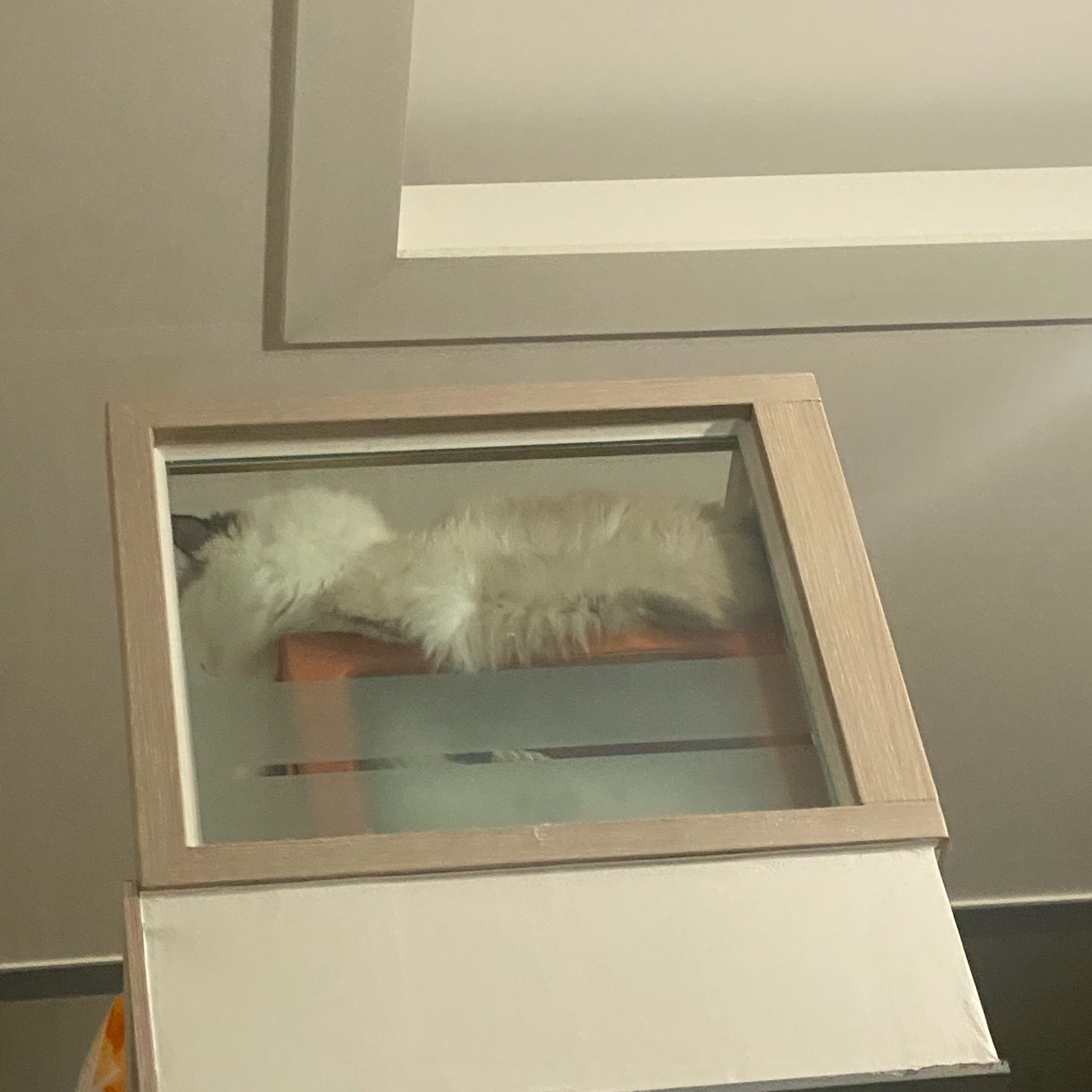 안아줘 (옆방 소리 주의 ㅜ)