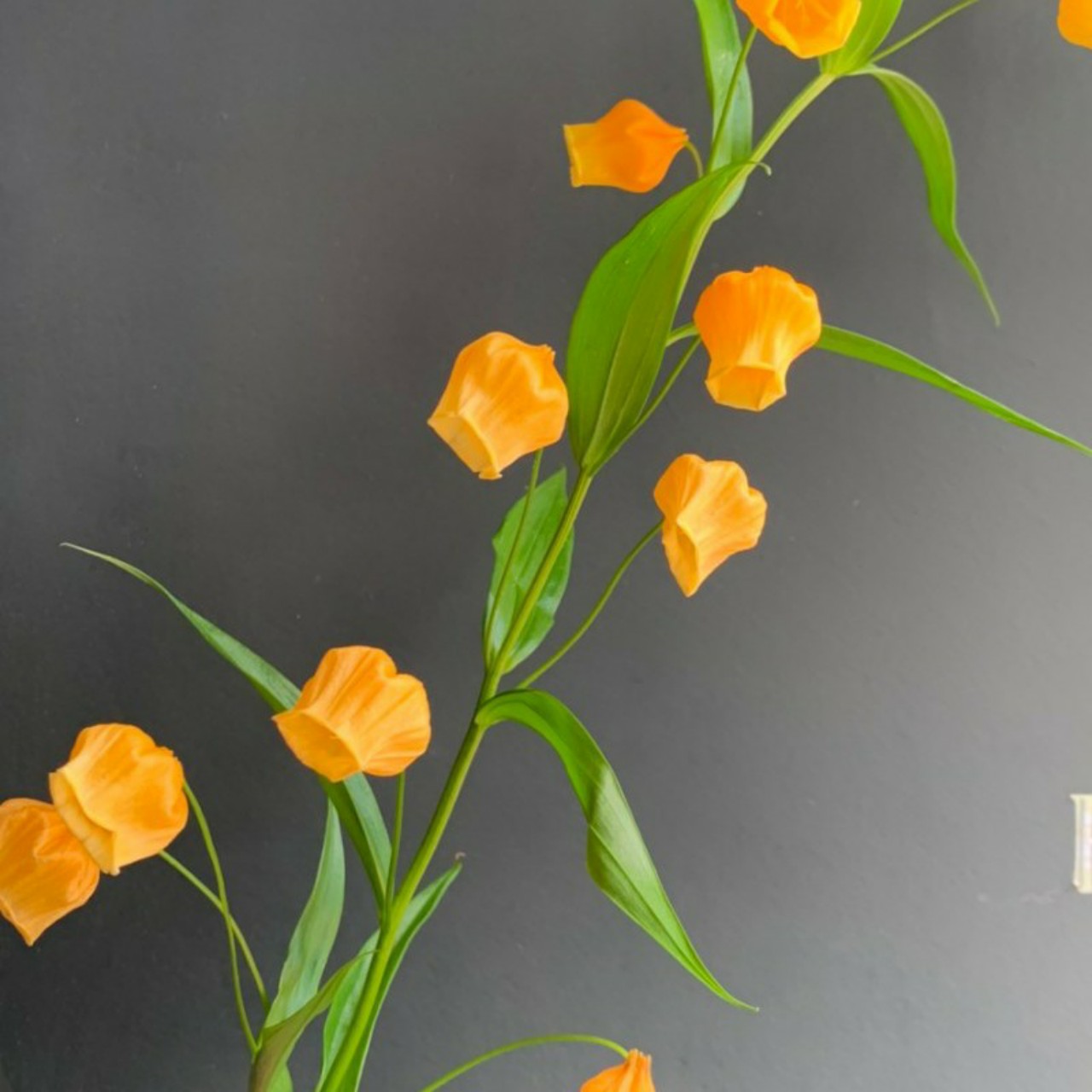 🌈성공1) 우리도 '마윈'처럼~