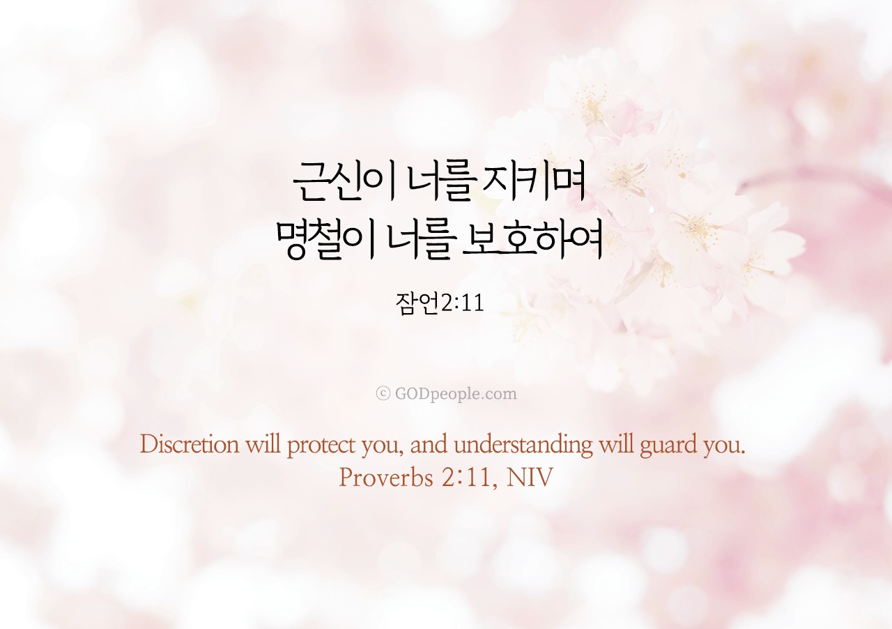 🎀잠언 2장🎀