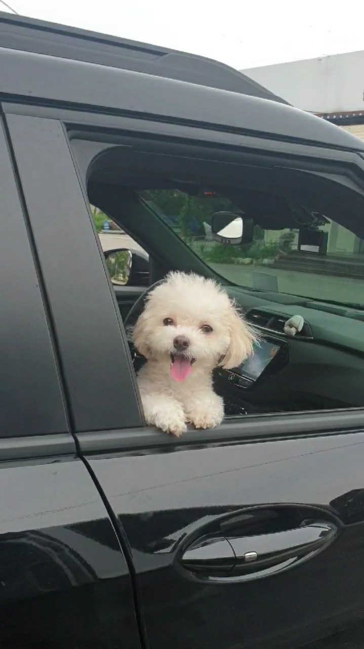 뮤지컬노래연숩