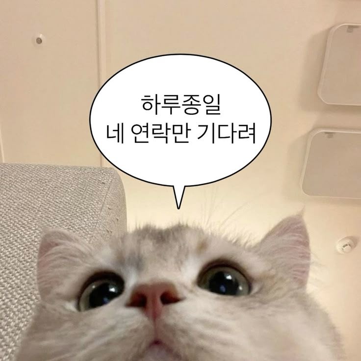 끊었어!?!?! (w. 송구)