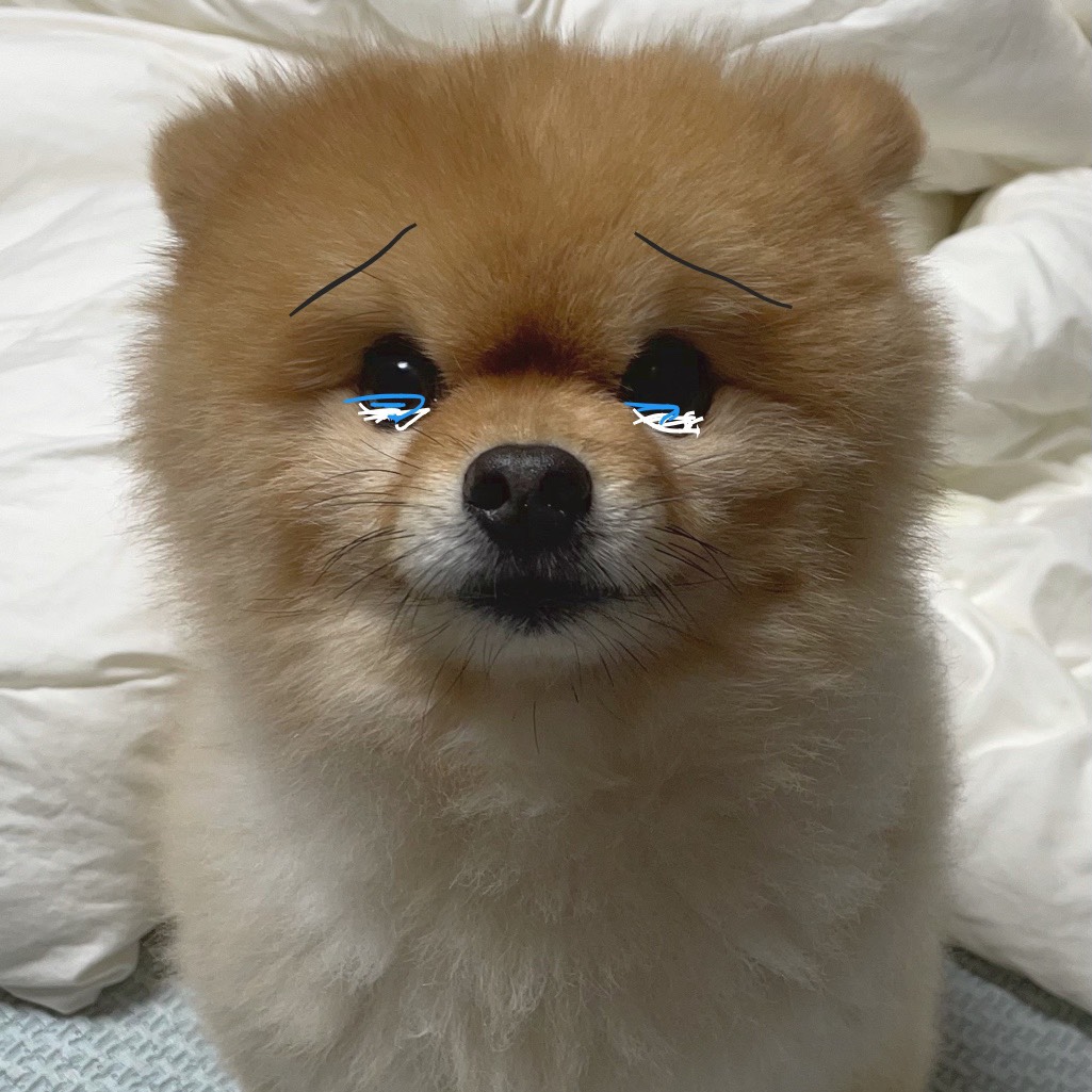 오늘보다 내일의 너를 더 좋아하겠지