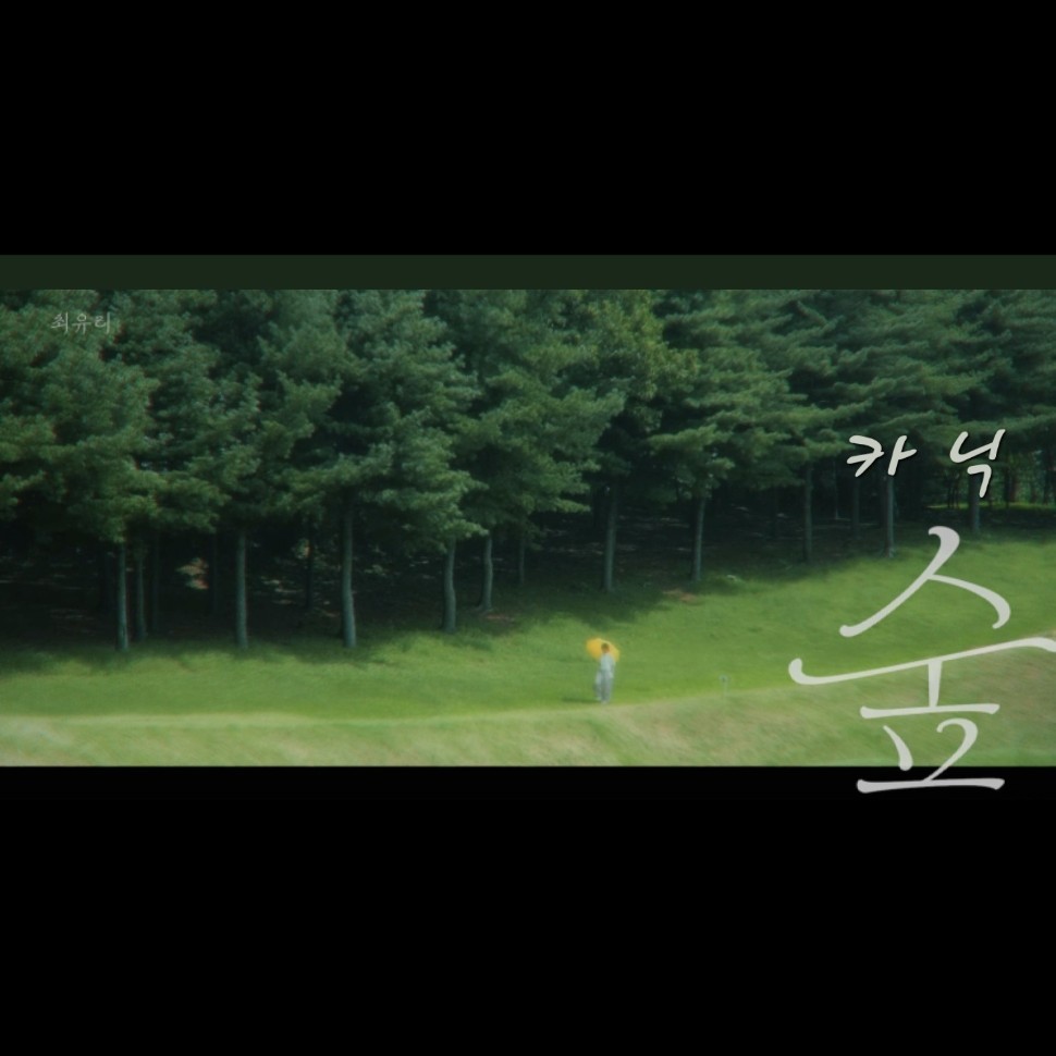숲 :)