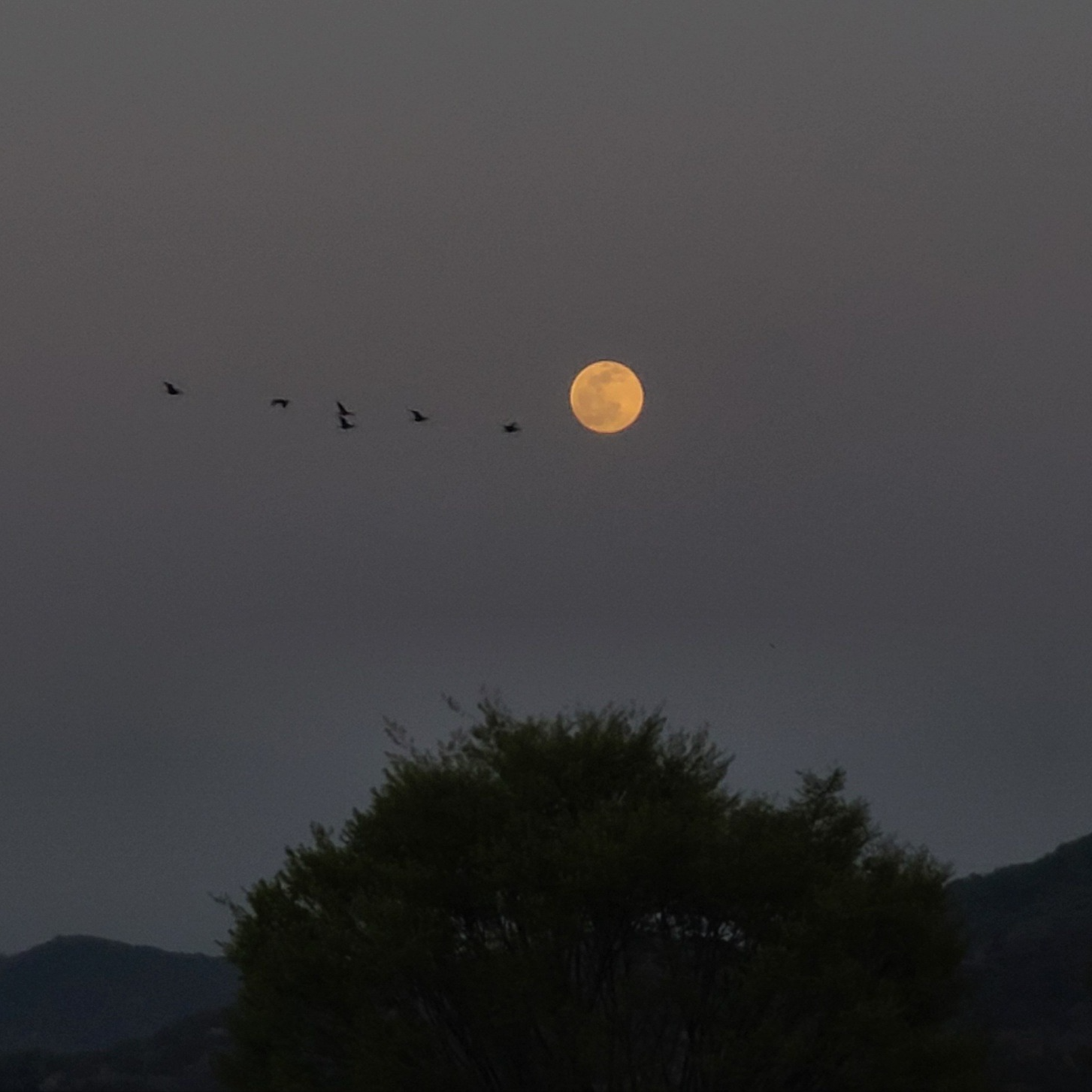 북두칠성 - 로이킴