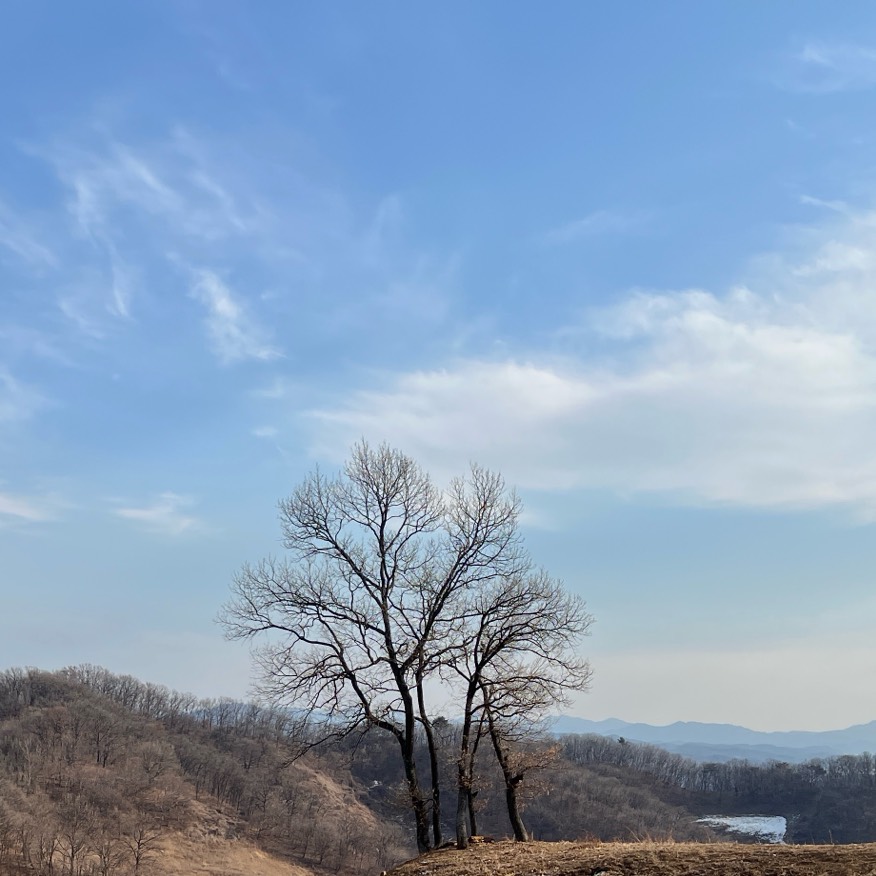 너라는 별
