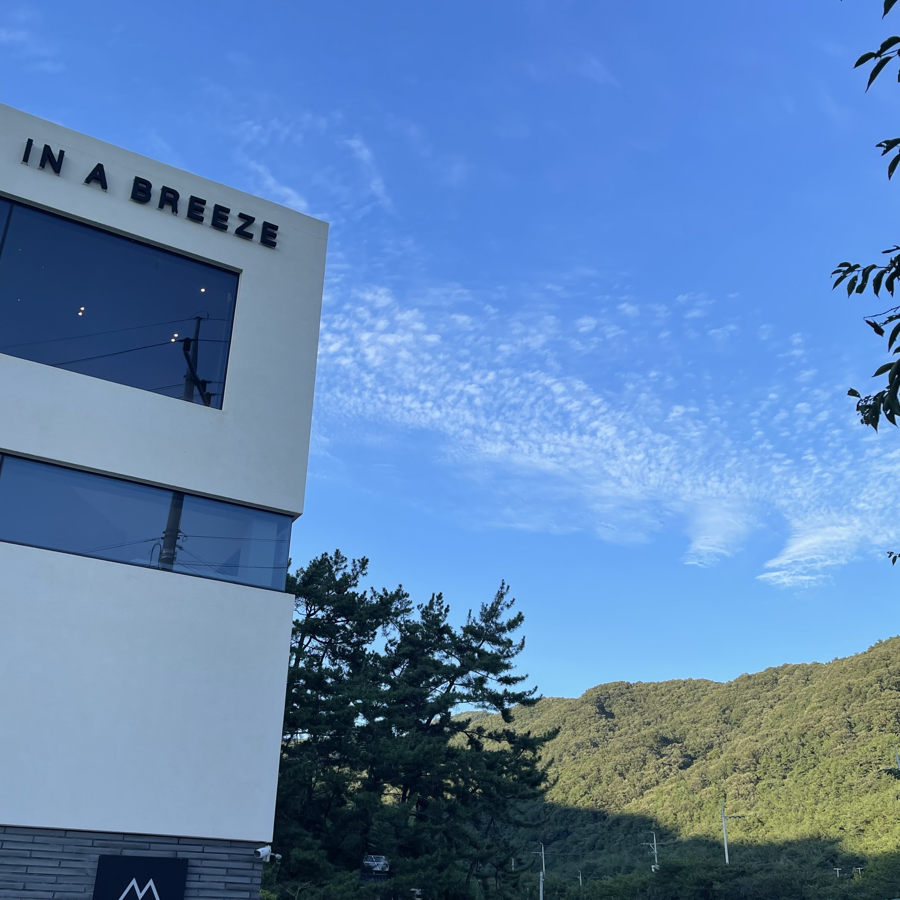 # 해요(2022) _ 안녕