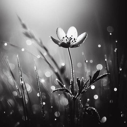 기다린 만큼 , 더