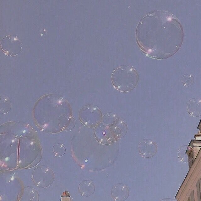 꿀 차