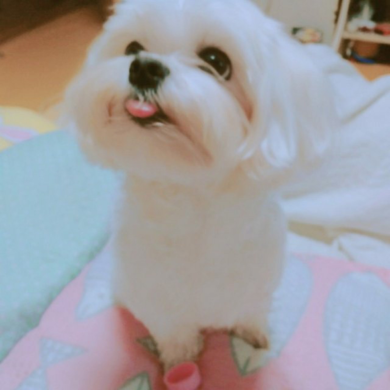제목없어