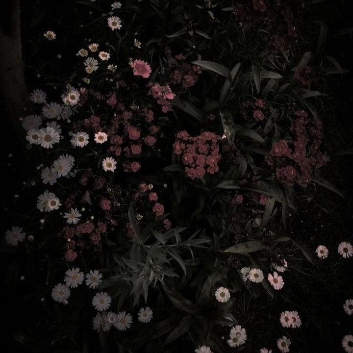 나중에 너한테 읽어주려고,