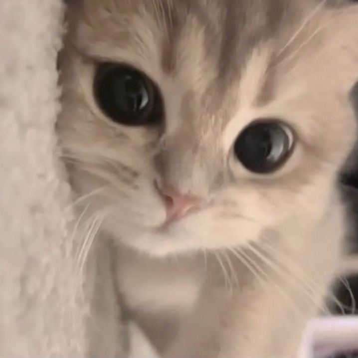 모든 날 모든 순간 함께해 ♥