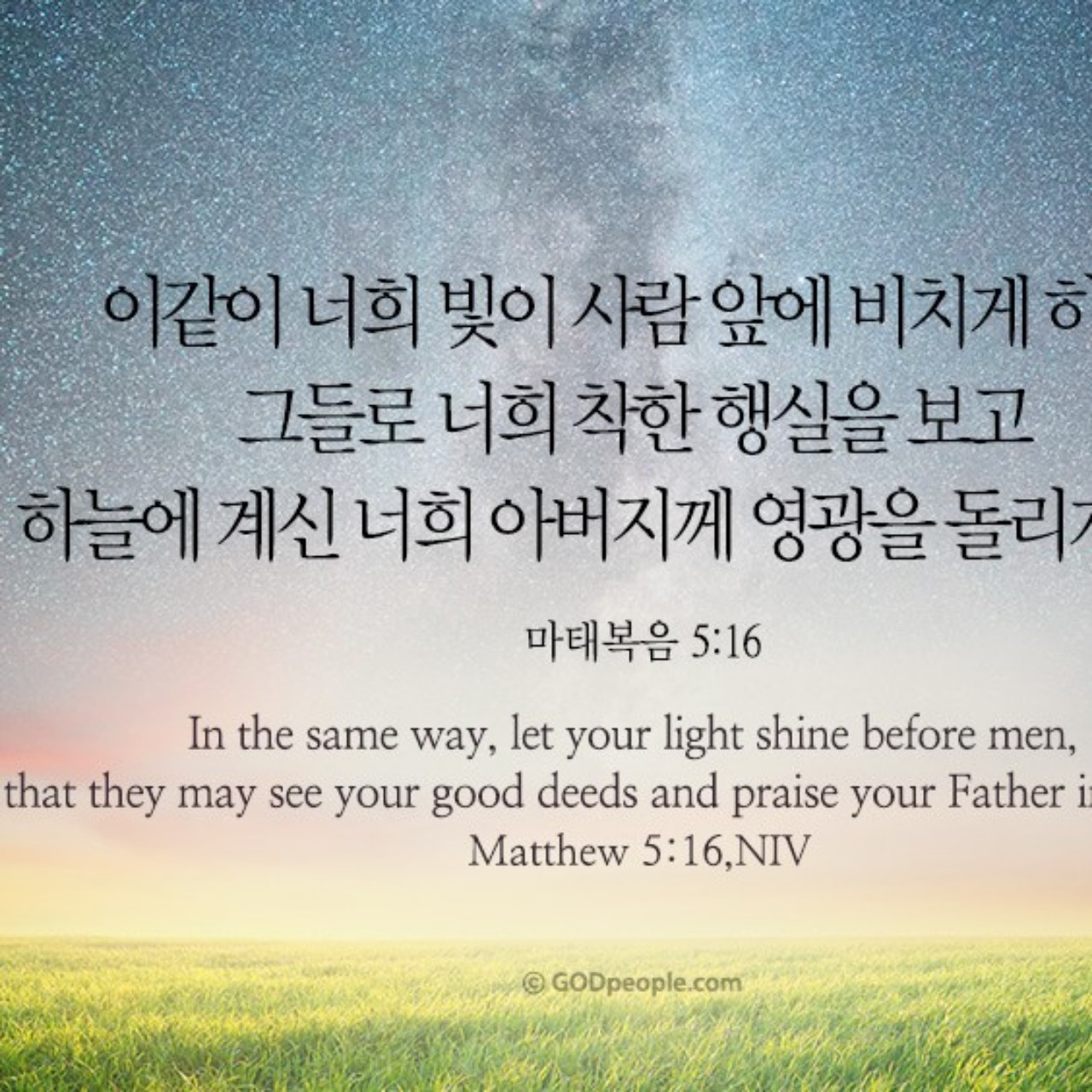 🎁마태복음 5장 🎁