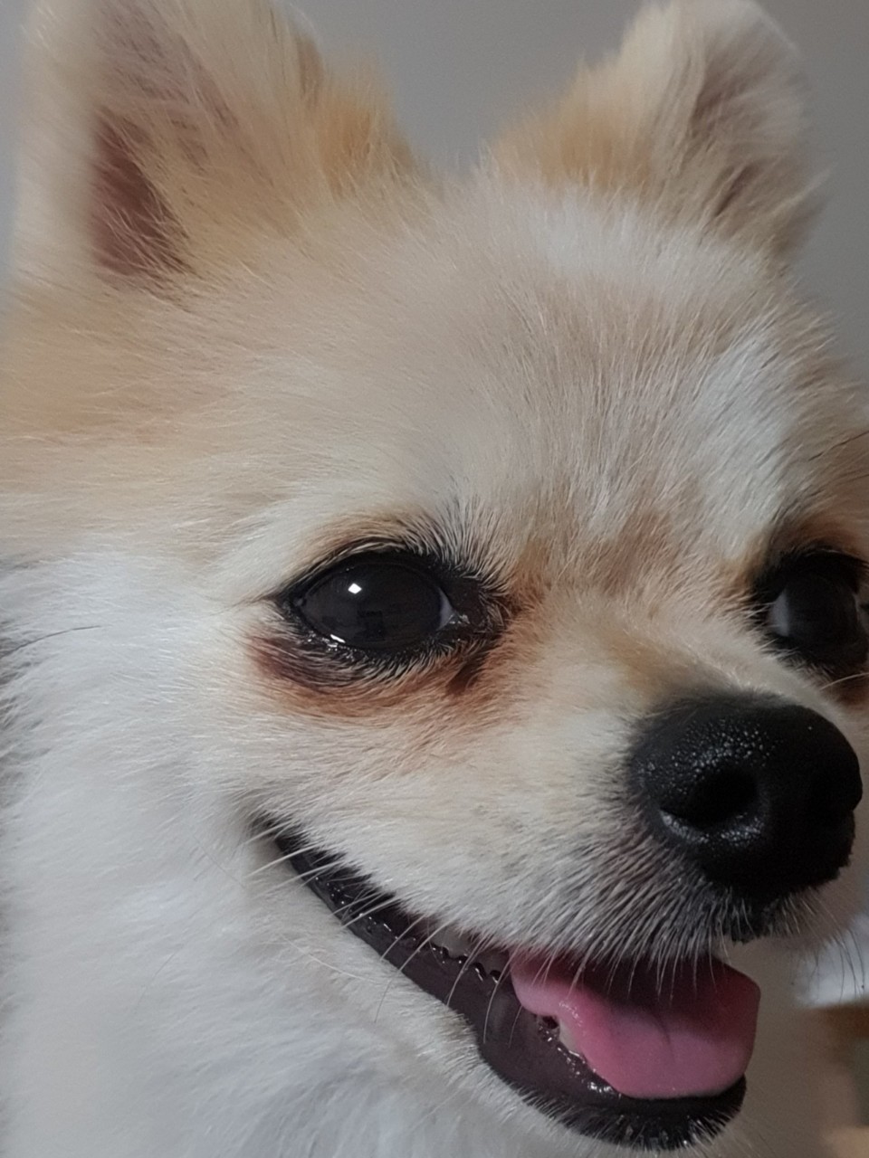 안녕하나나♡