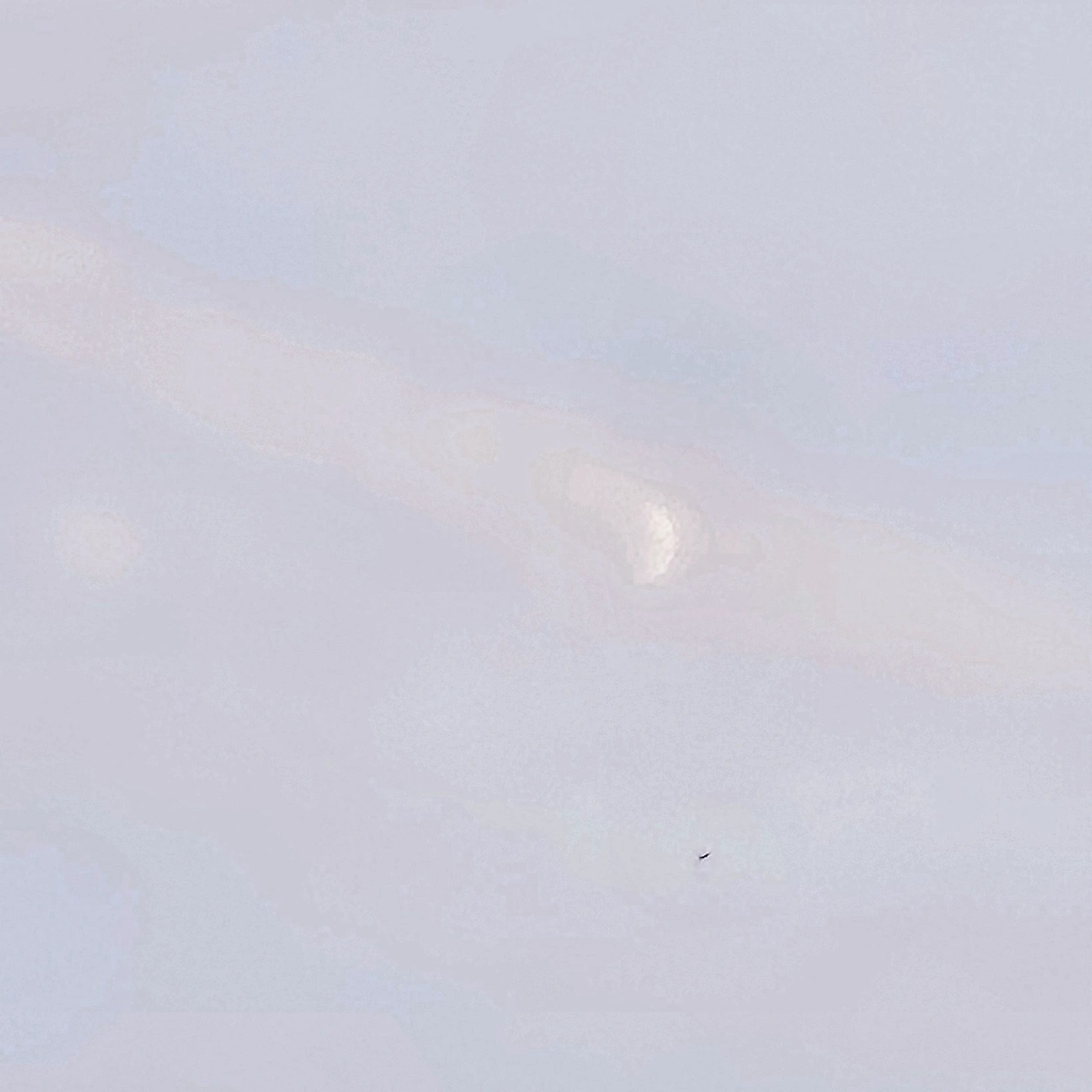 친해지자~