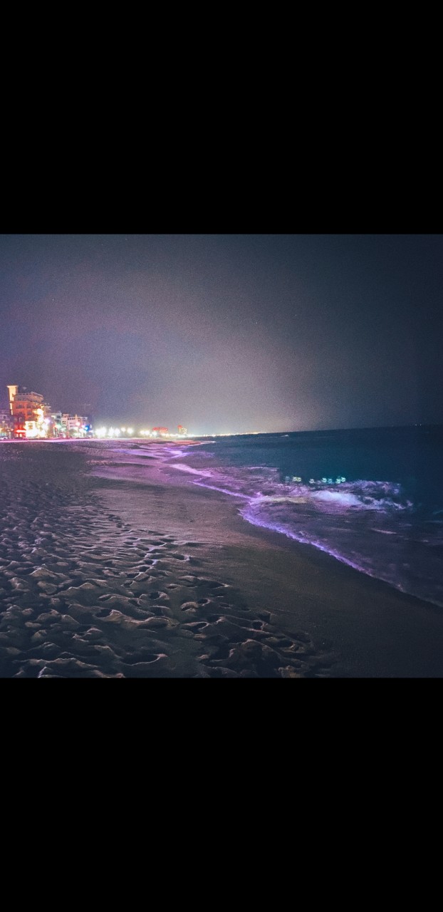 강릉 안목해변 밤바다