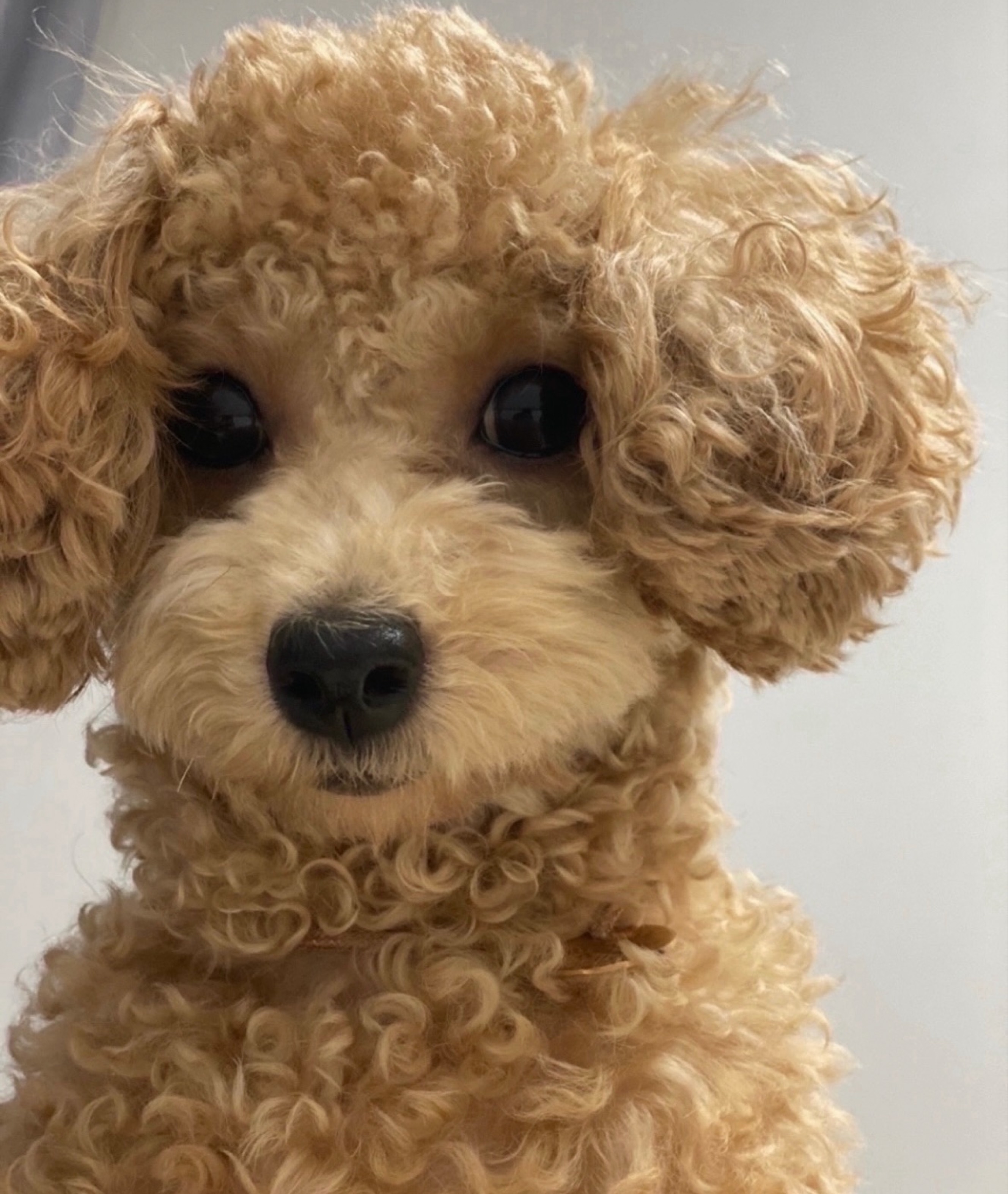 갈방송없어서 만든방송