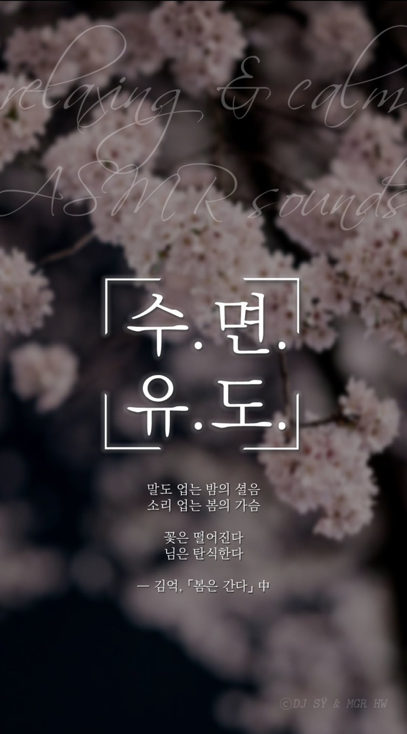 〖초고음질〗☁수면유도 ASMR ✨💙