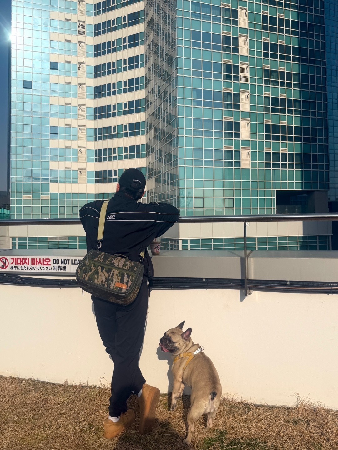 검키우기 & 룰렛  _ 플리