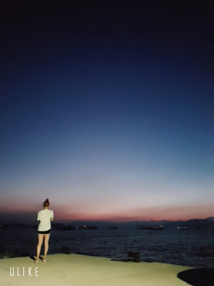 짧)방제없음