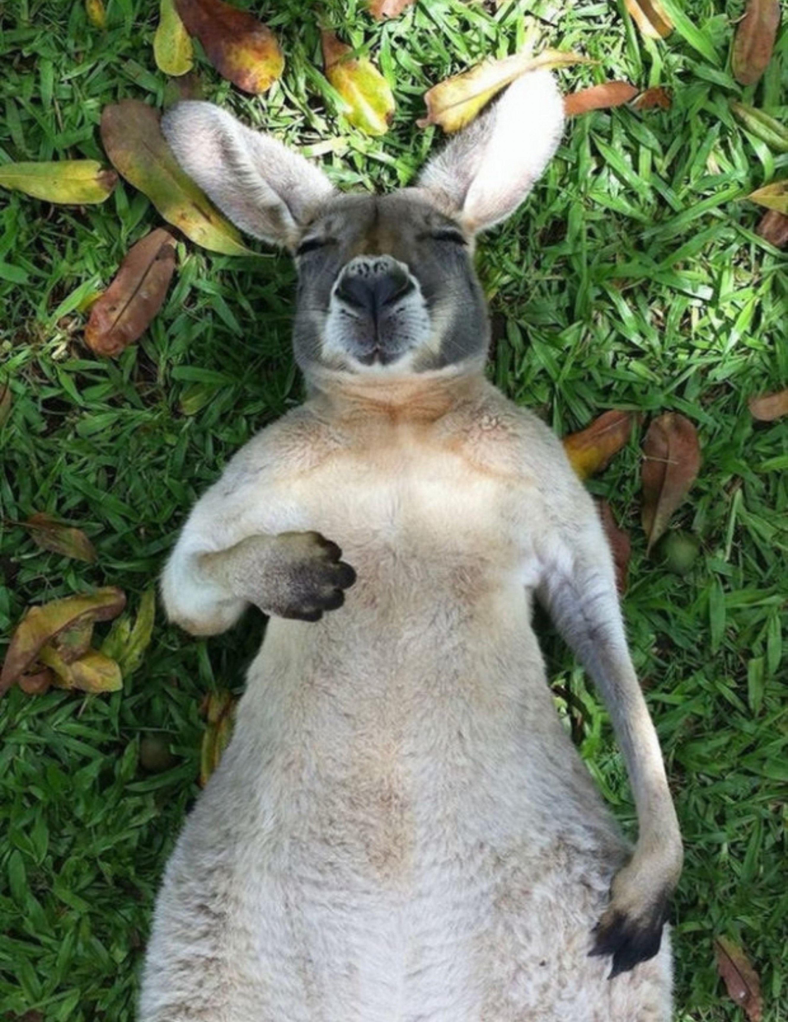 목드컵후 잔잔소통