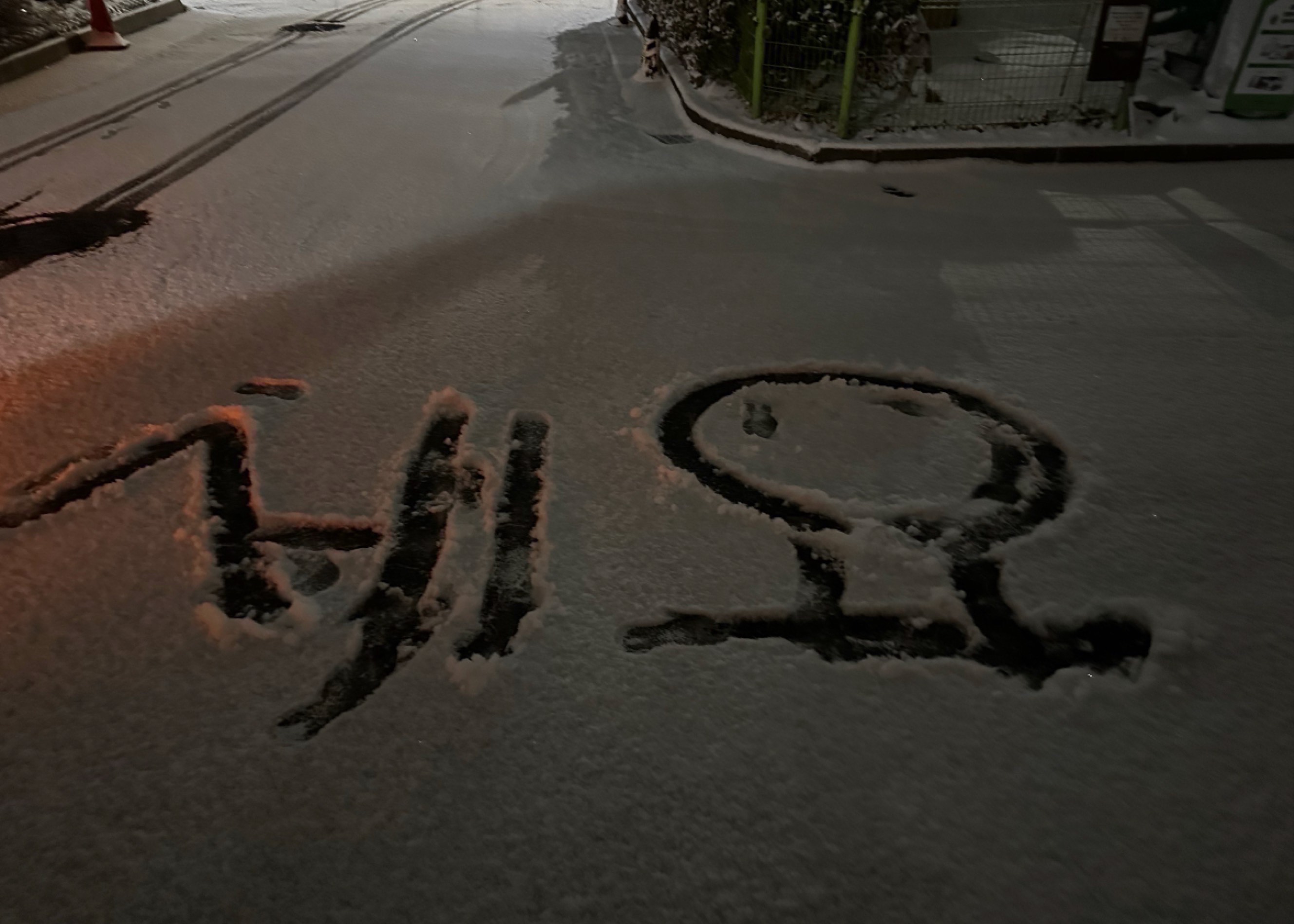 방송한지 어엿50일 300팬감사해요🥰