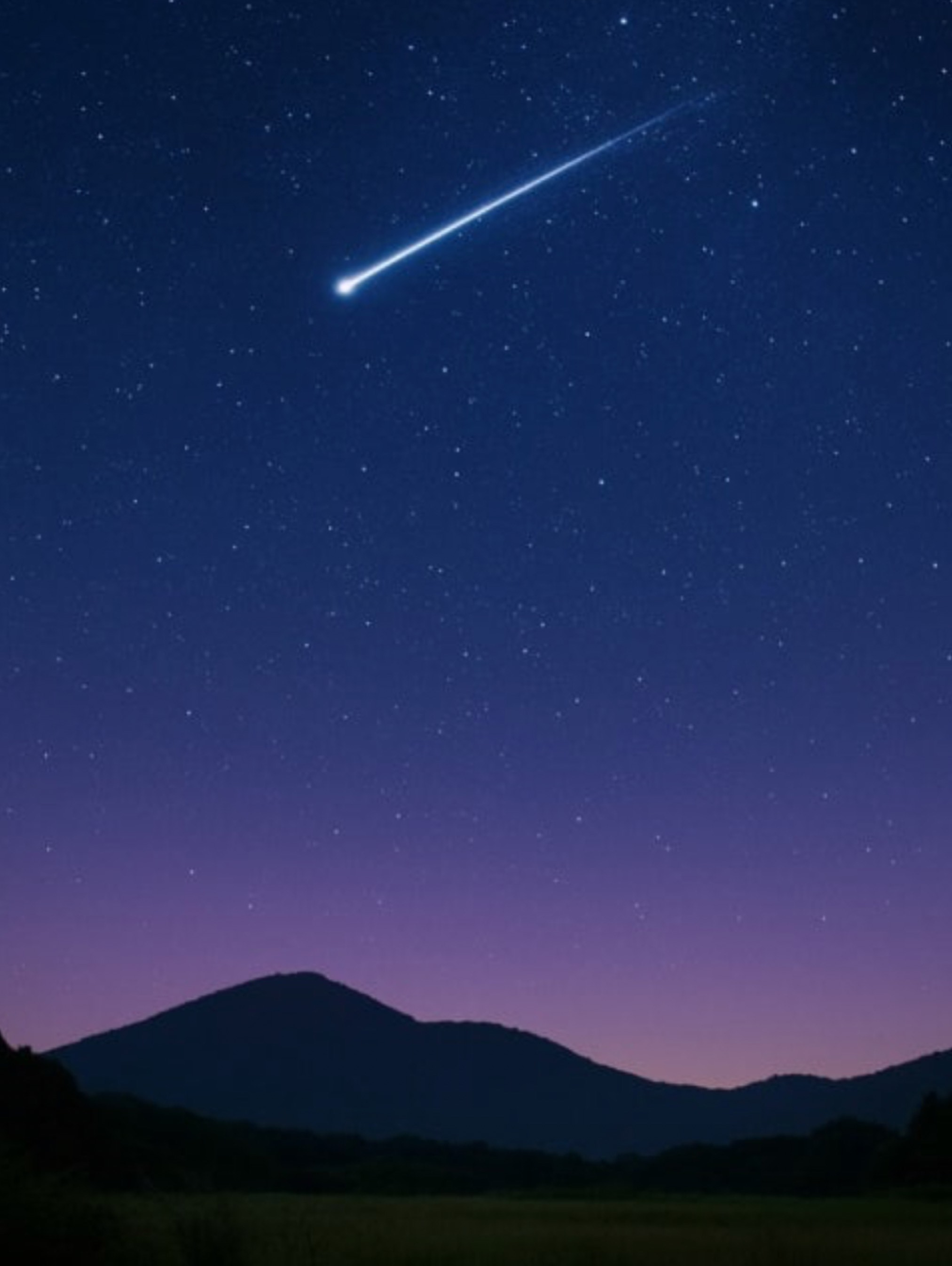 신입1일차 편하게들어와여ㅎㅎ