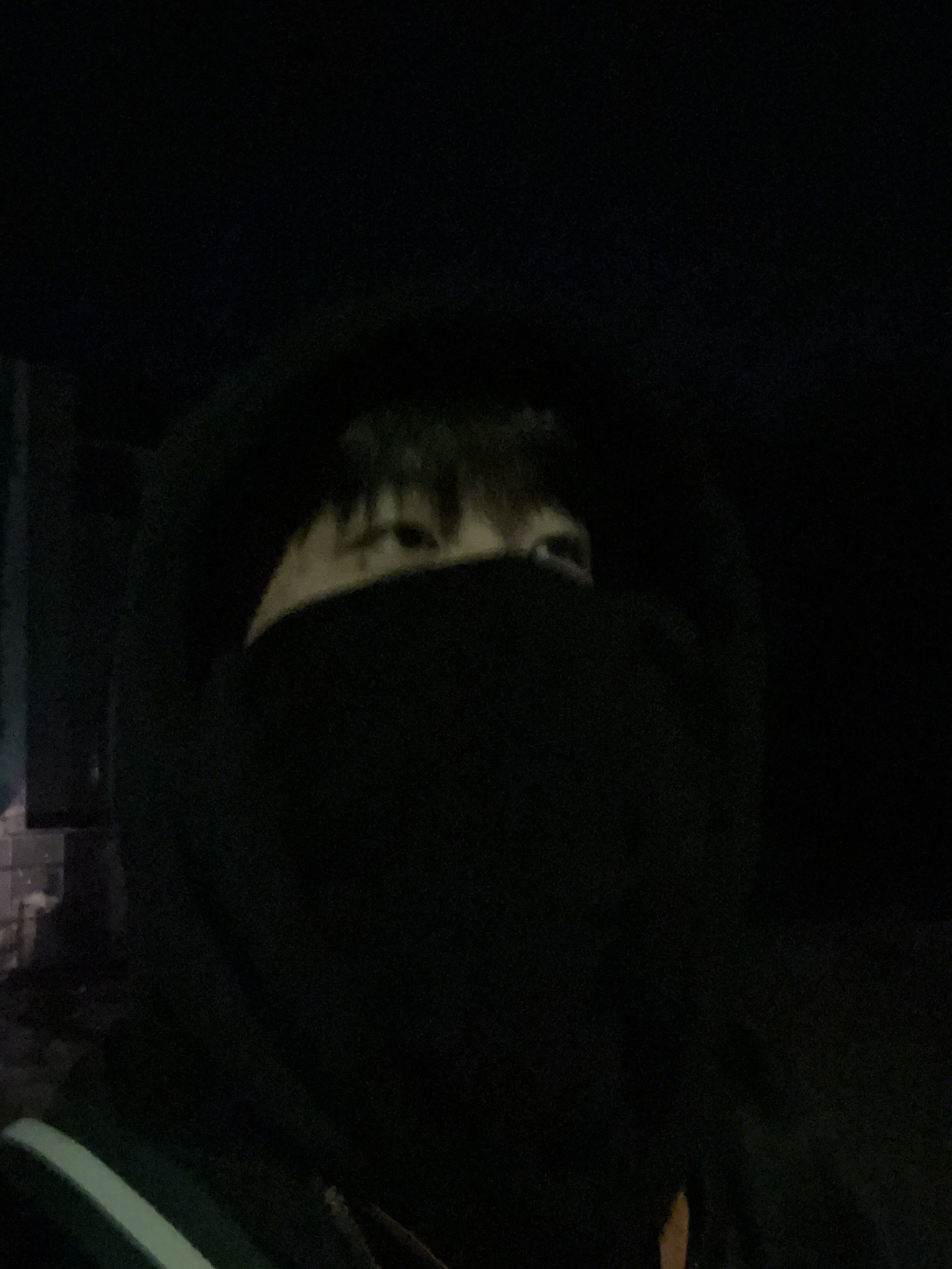 뭐하냐 안 들어오고;