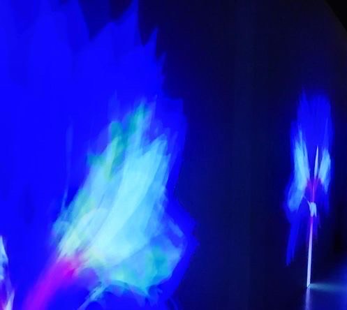 꽃이 지는 이유