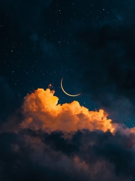 듣기좋은 pli 맛집(소통 어려워요)