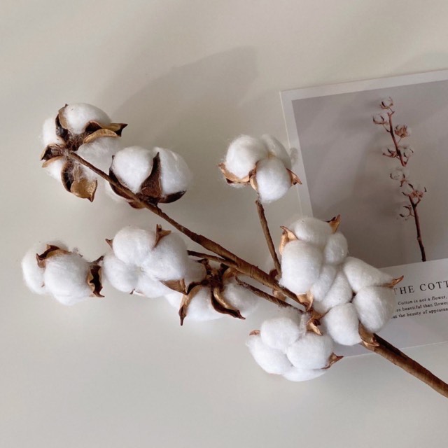 차 안 노래방 라이브