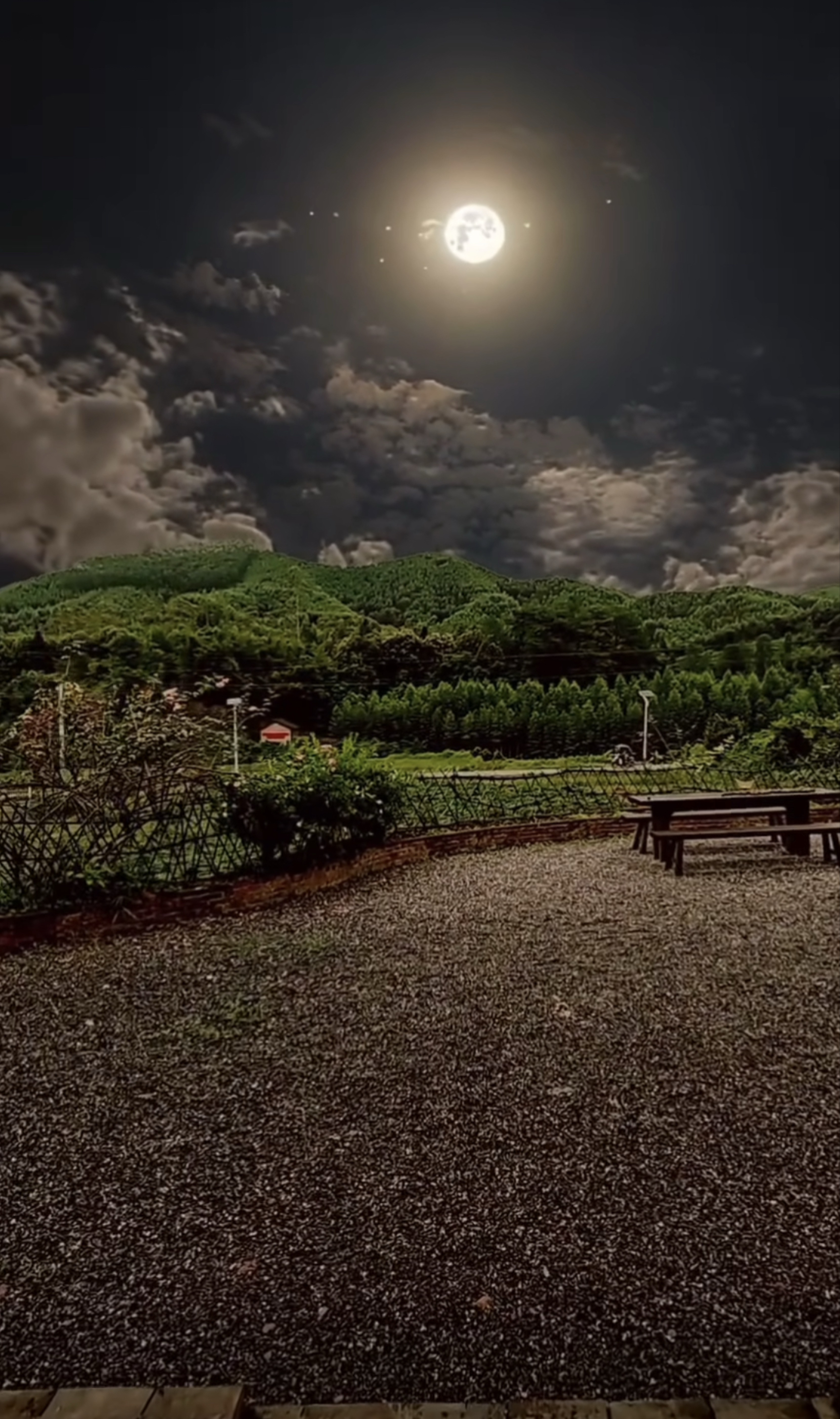 밤산책엔 피아노연주 🎹🤣