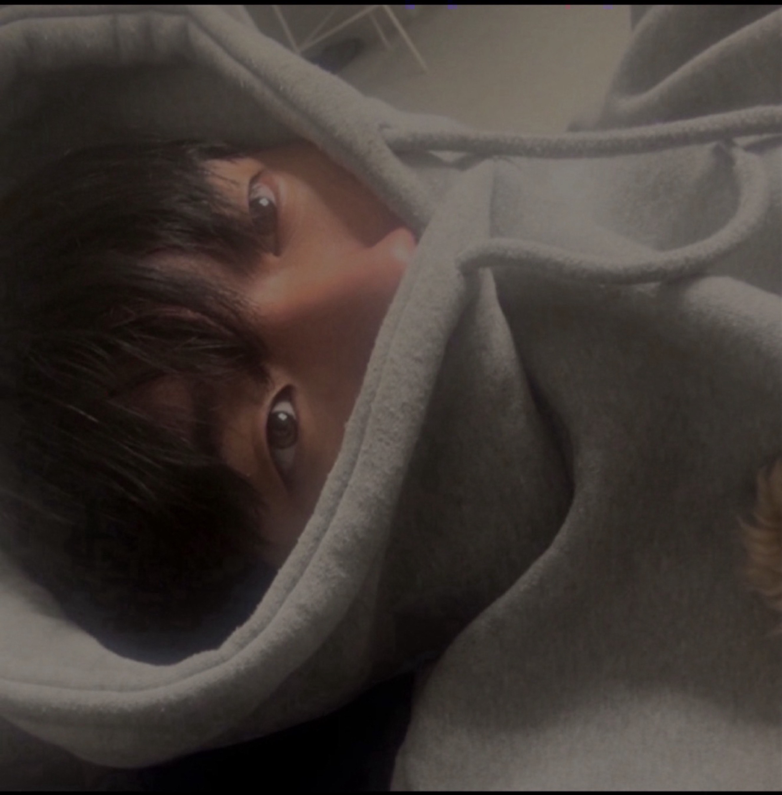 새벽 편안하게 재워드릴게요🫠