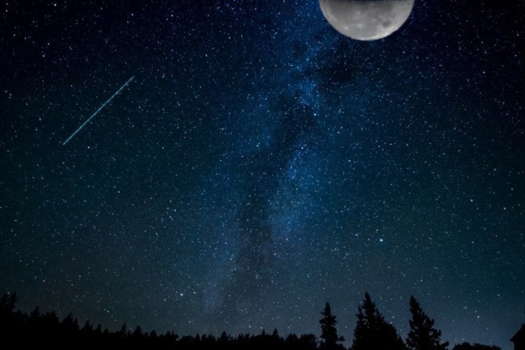 잔잔바리 라콜 30분만 방송