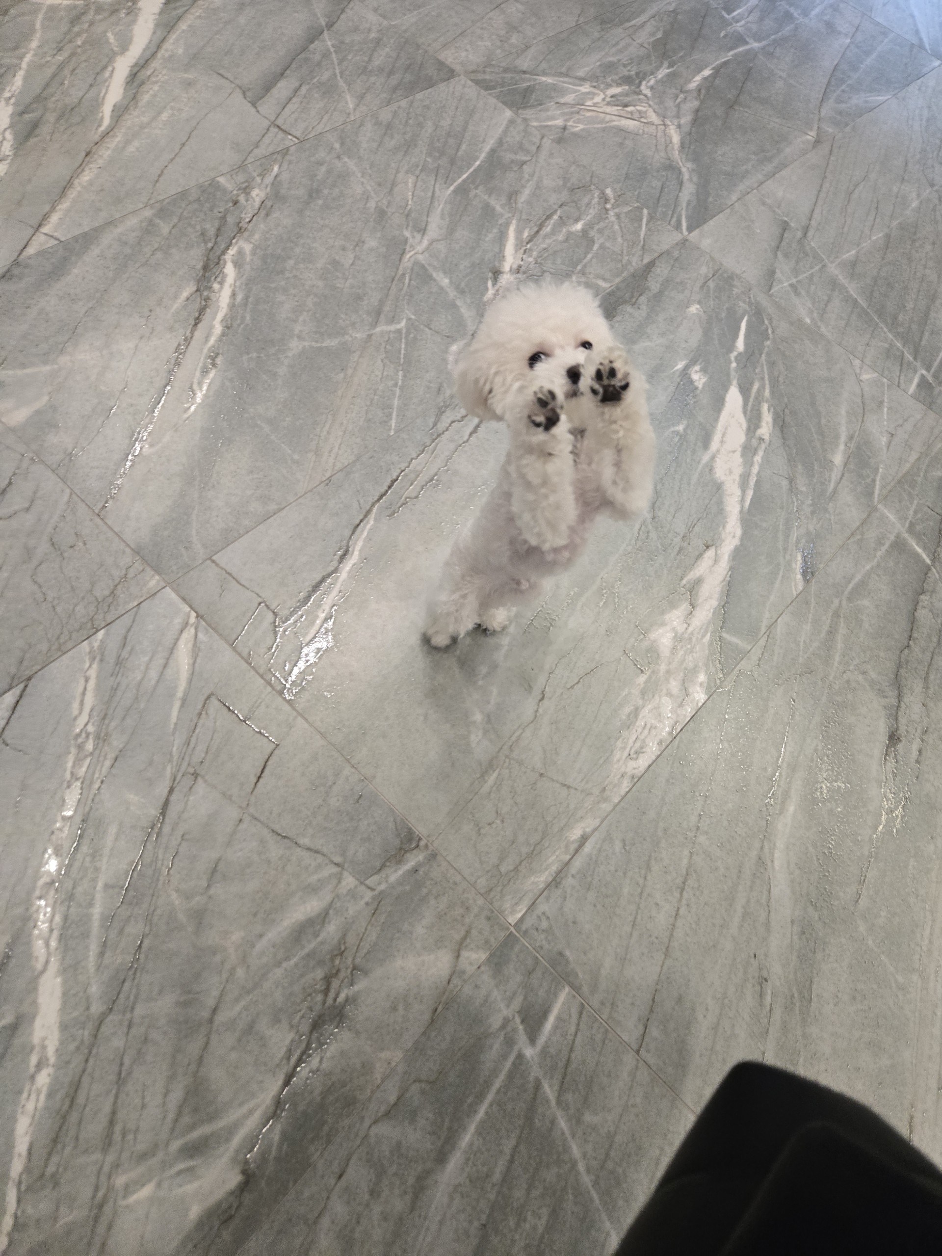 30~ 사랑ㅣ빵  안노옹~ 어솨