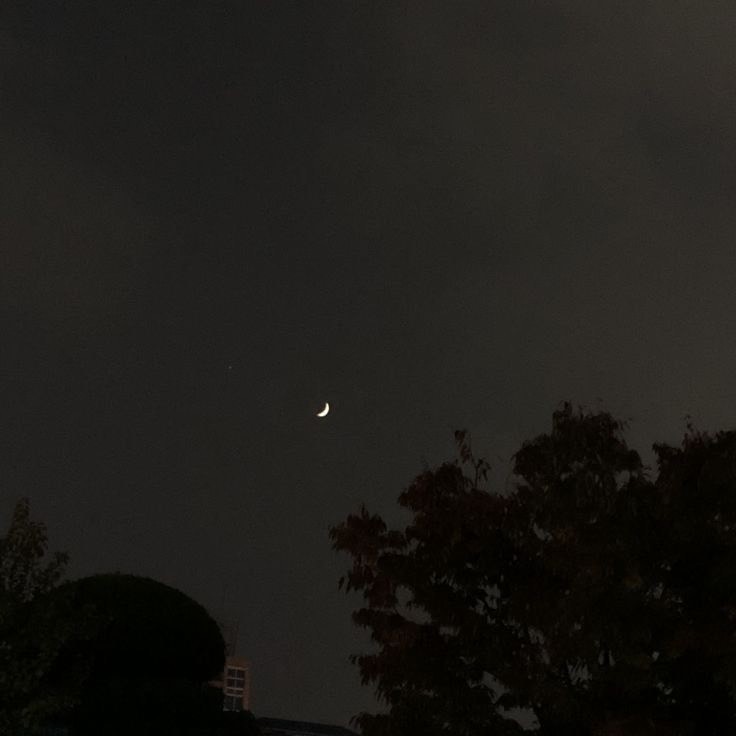 잔잔 노래라이부