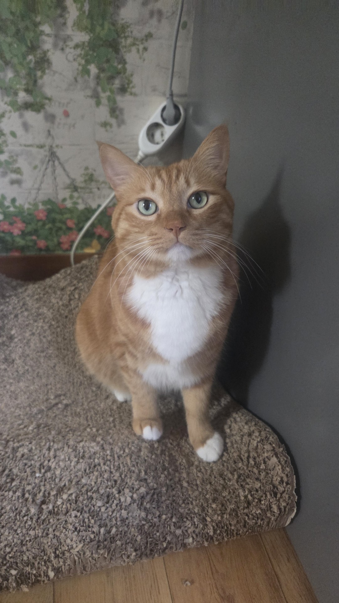 술마시고 나홀로노래방