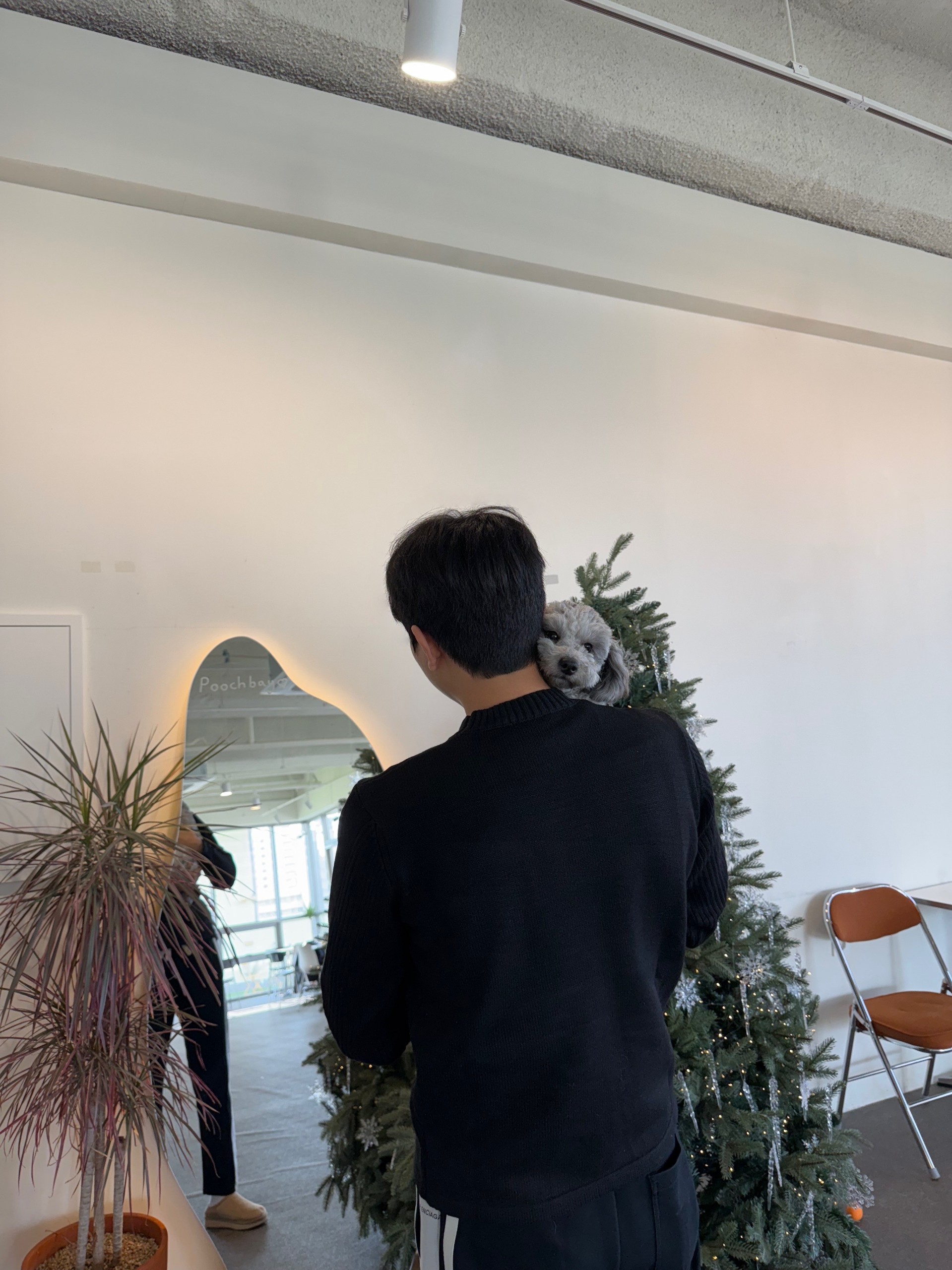 # 캔디 깡 하실분 ?