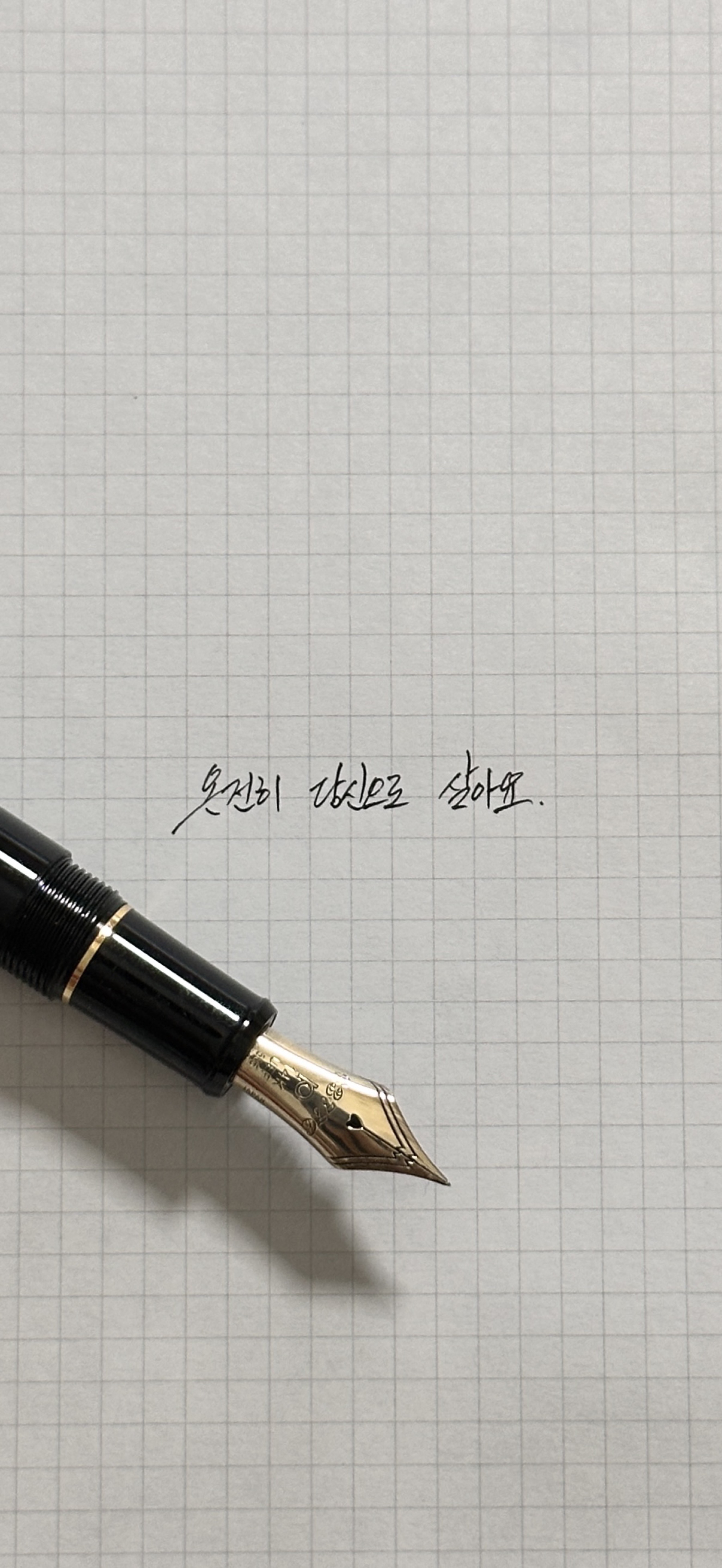 켜놓고 자는 방송에 무슨 볼 일인가요