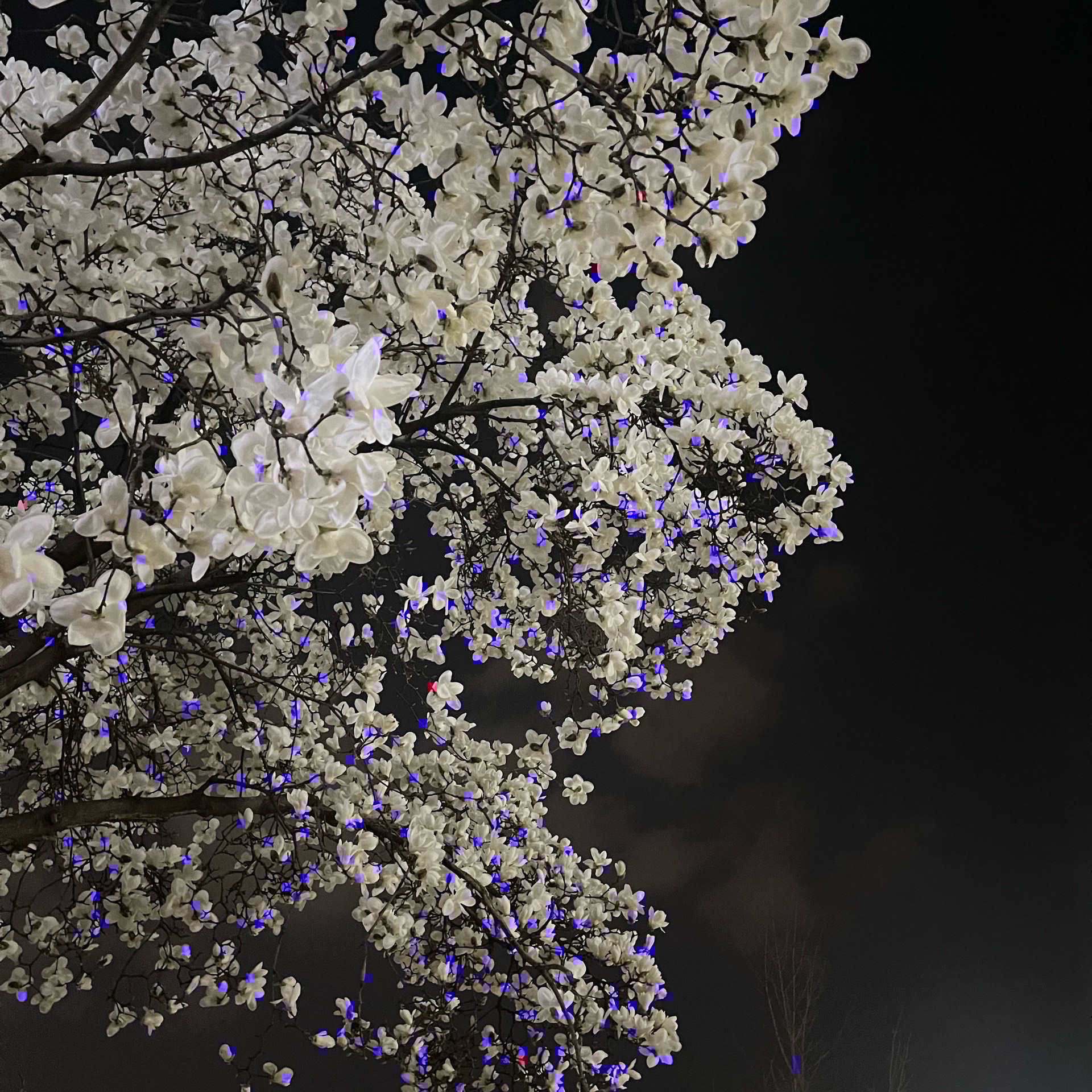 류家 하란 : 성우들 방송