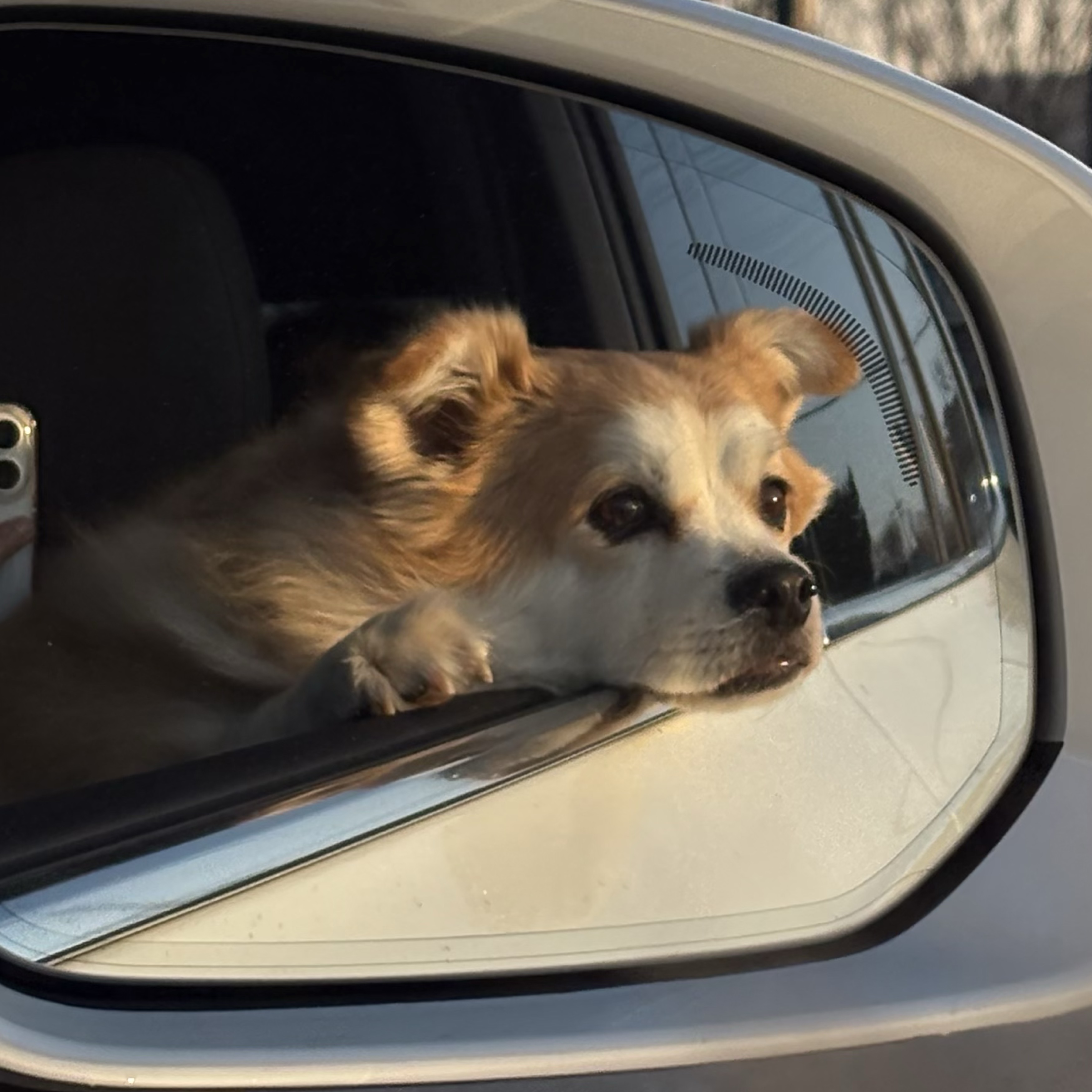 첫방송 노래방 !