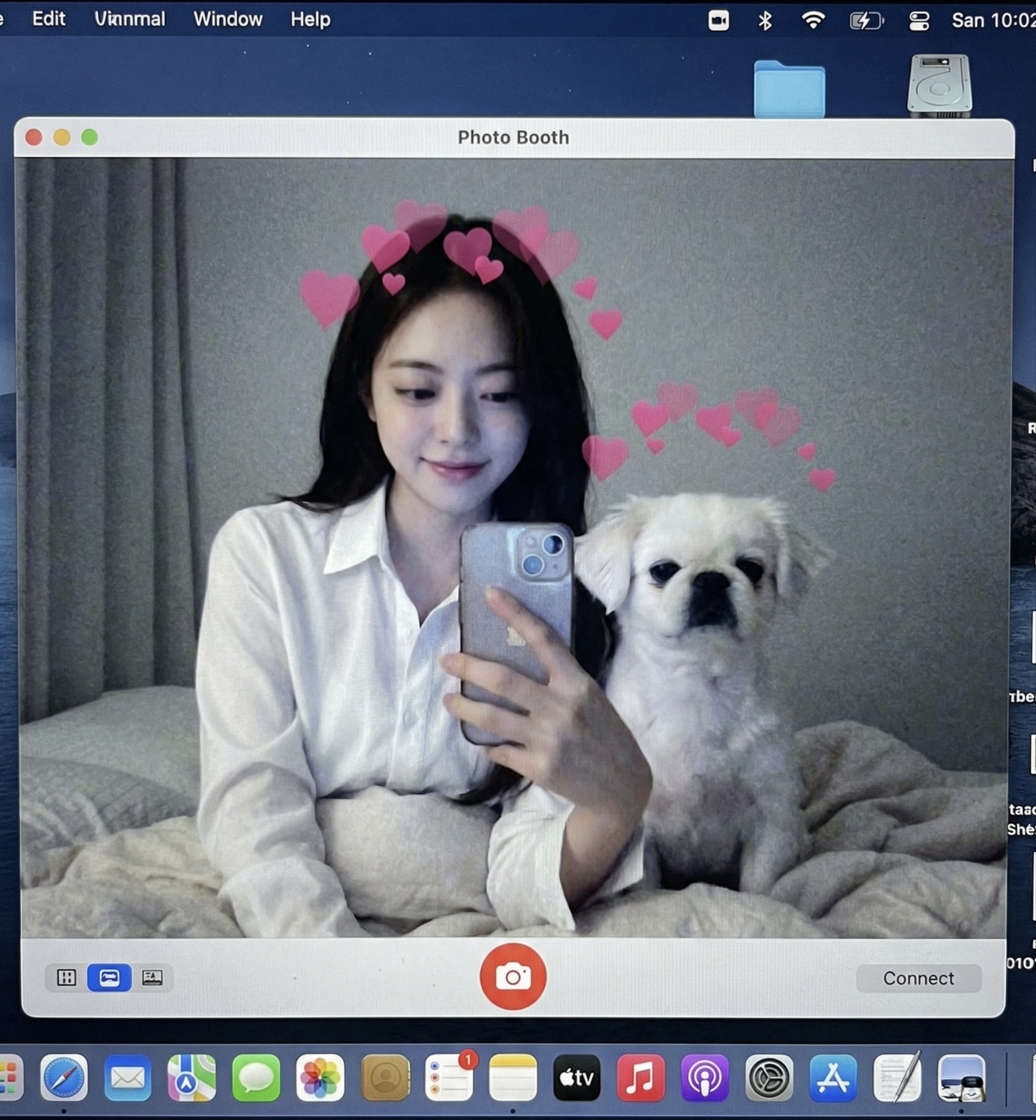 !⃝ 귀여우면 끝인거지 _☘︎