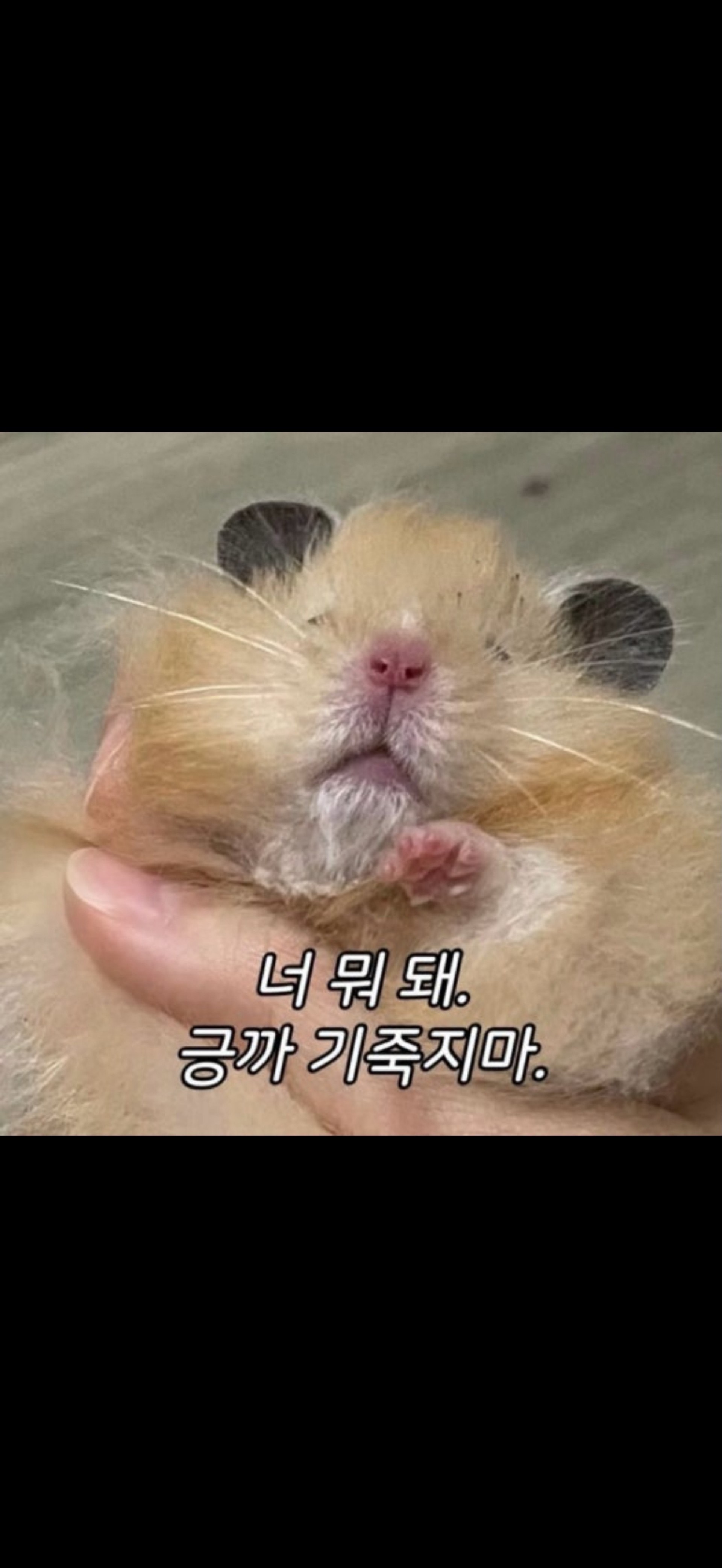 준비하기 귀찮아요