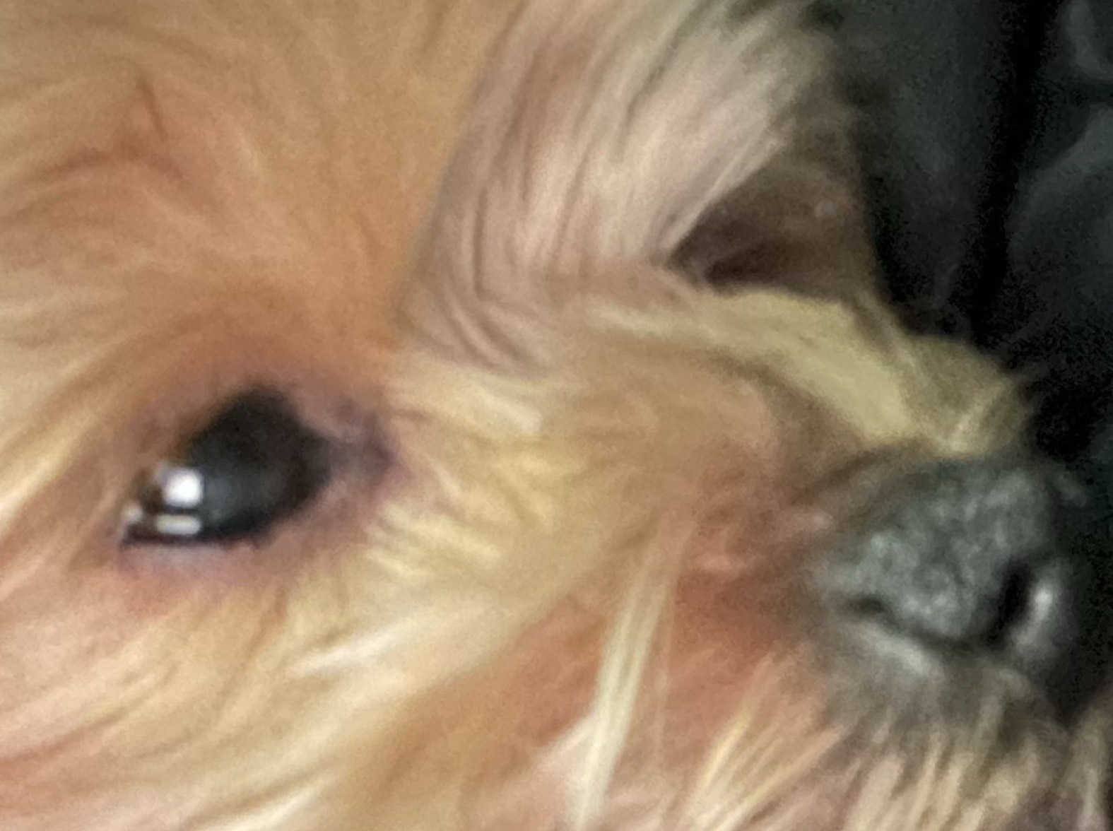 짧방)짧다면 짧은거야.