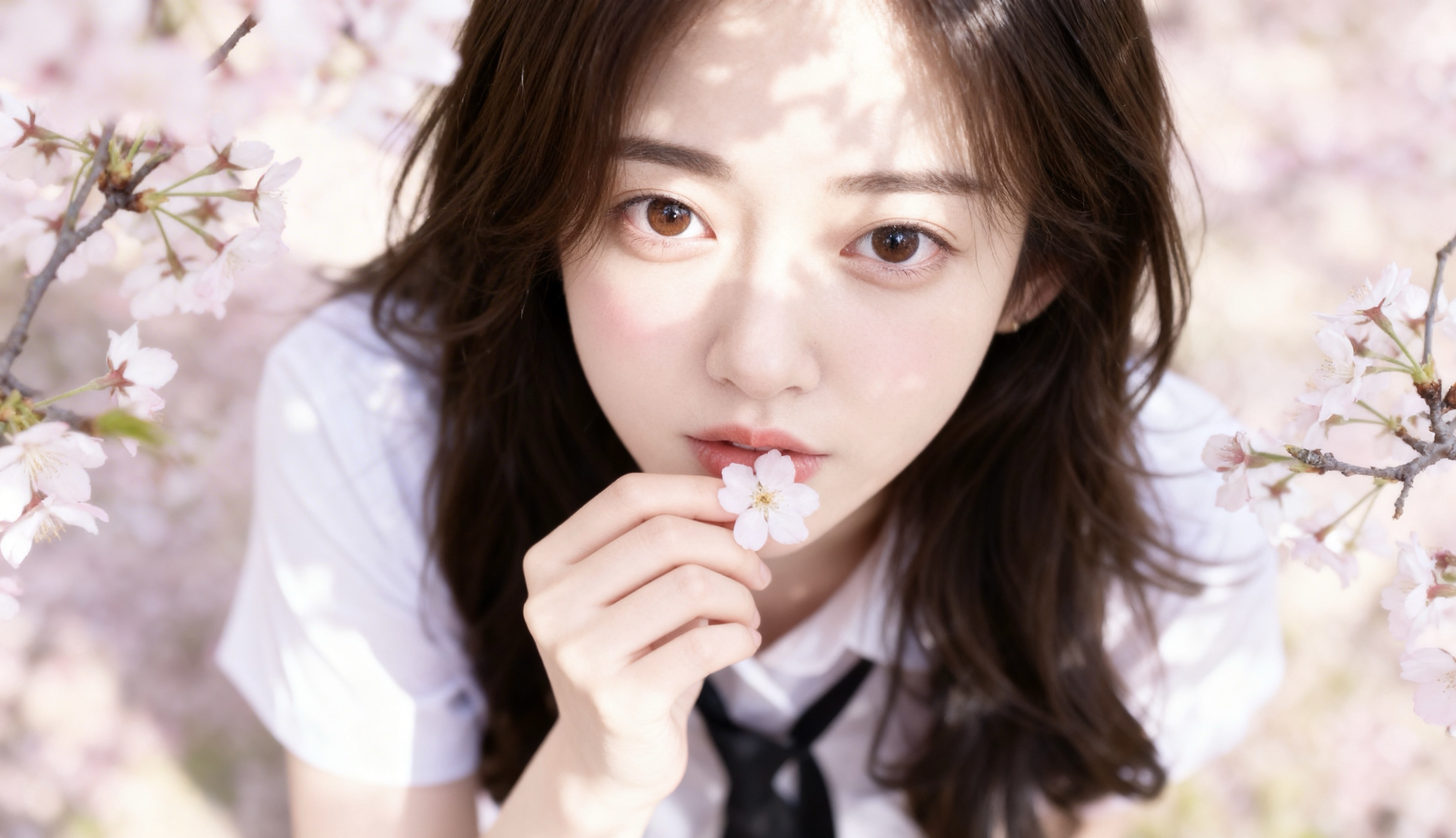 !⃝ 디데이 👀 _☘︎