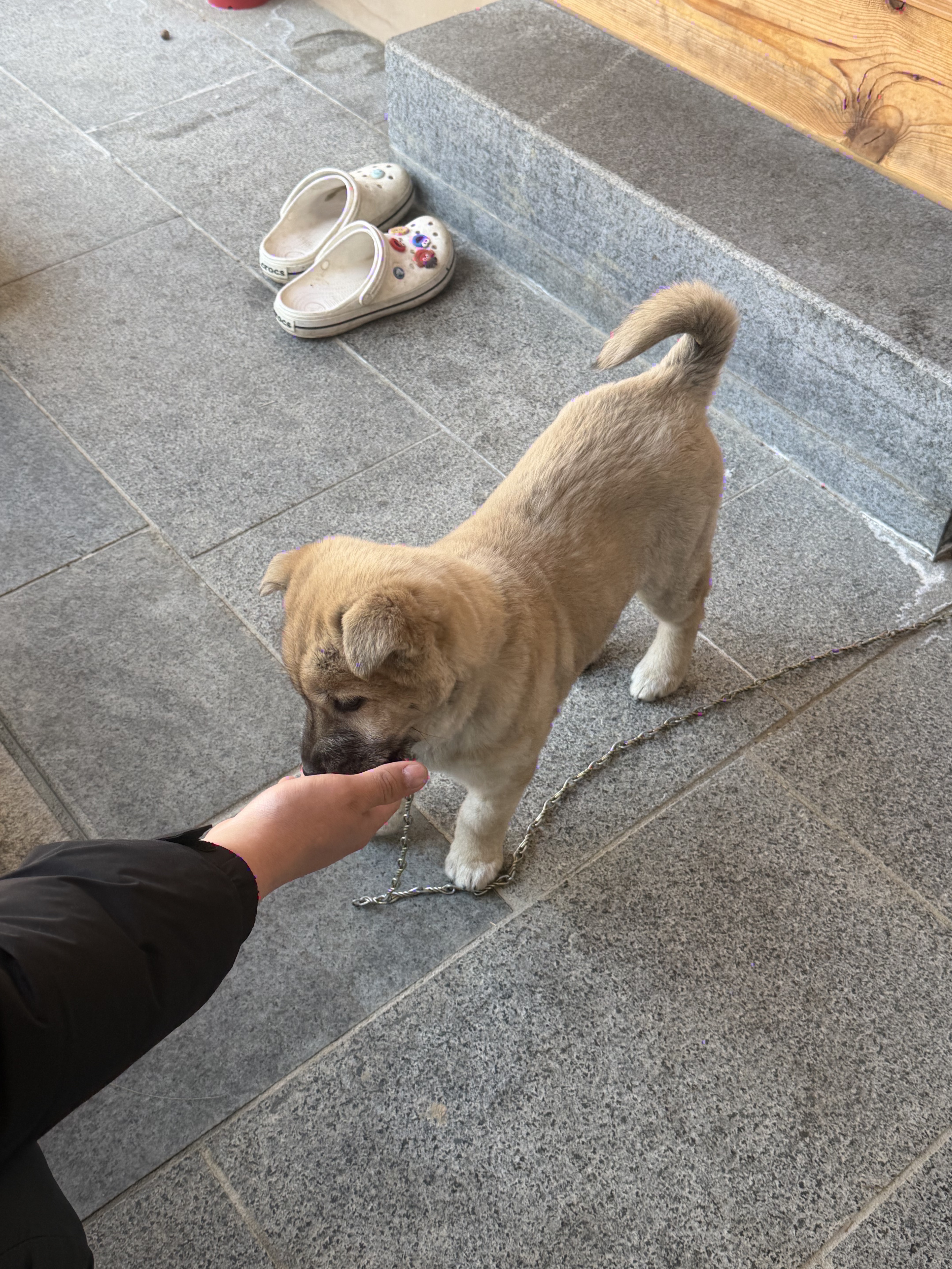 30+) 경상도 상남자의 브이로그