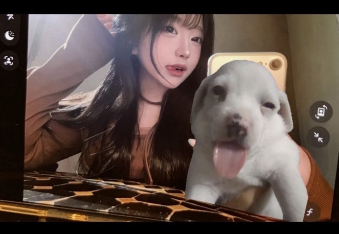 신입) 한번 빠지면 출구 없다린